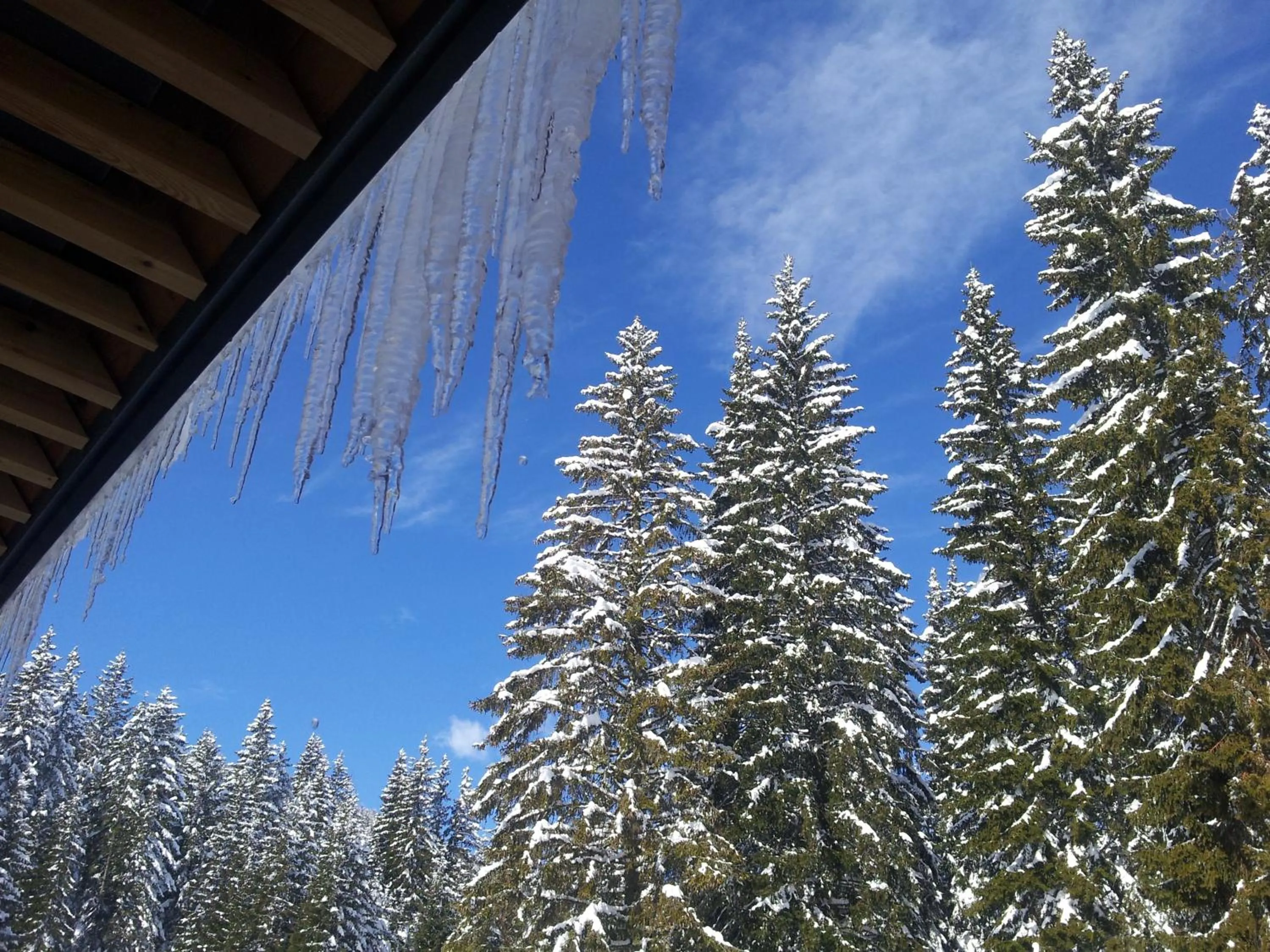 Winter in Hotel Jelka Pokljuka