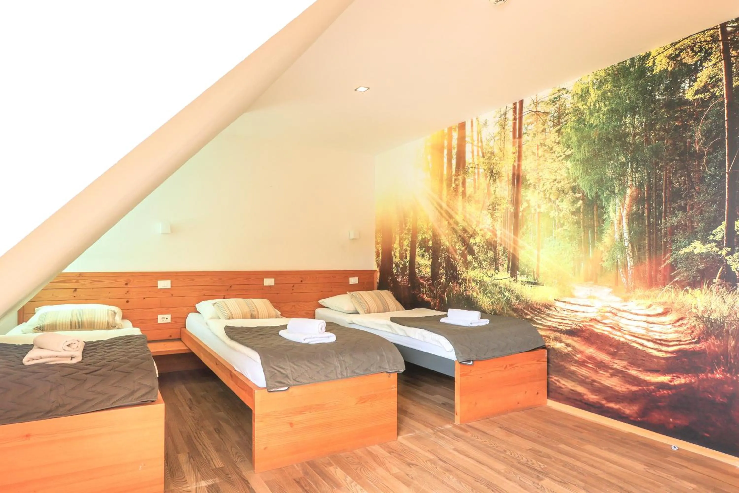 Bed in Hotel Jelka Pokljuka