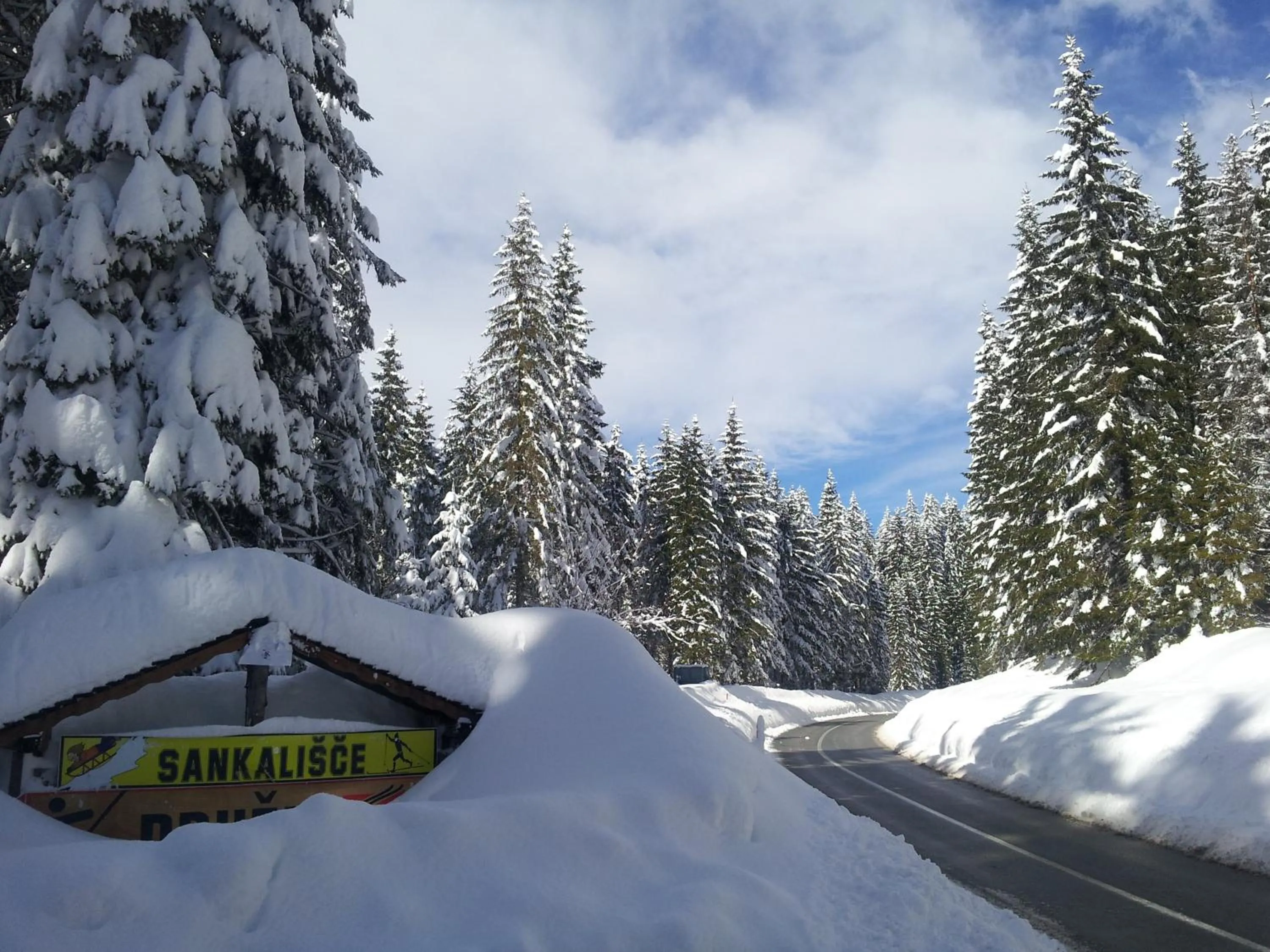 Winter in Hotel Jelka Pokljuka
