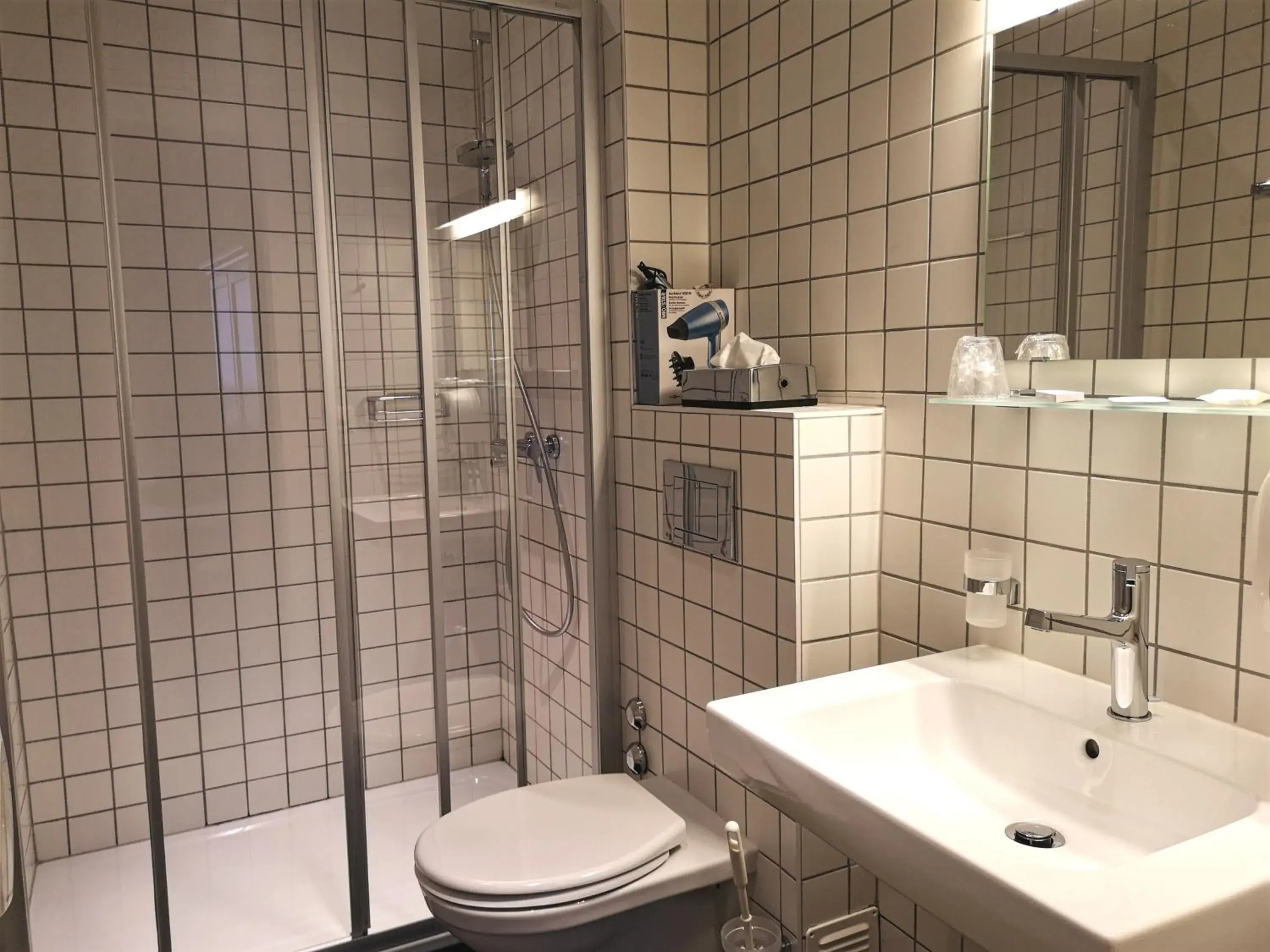 Single Room in Hôtel du Raisin Single Room in Hôtel du Raisin