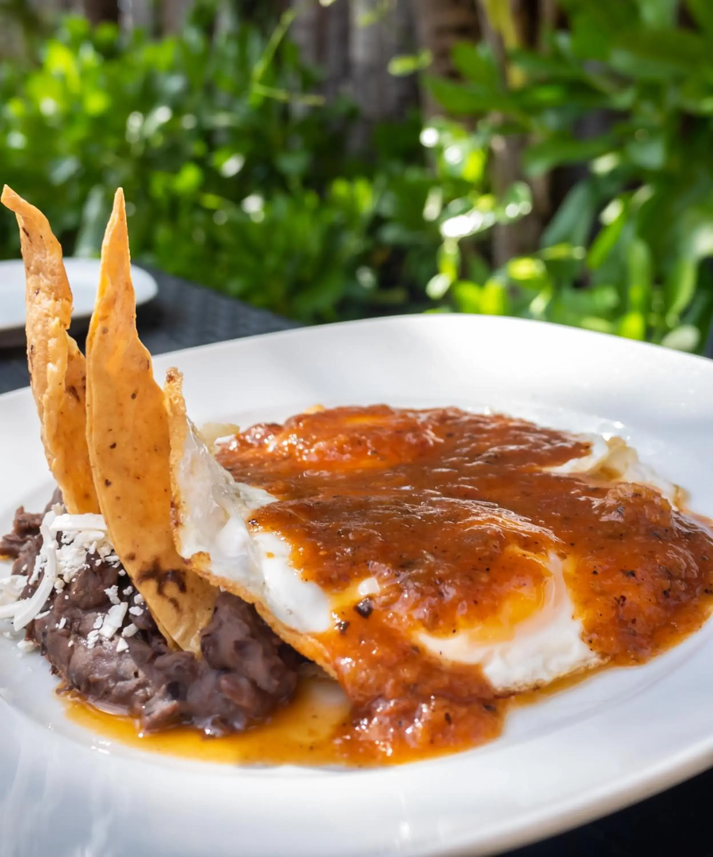 Food in Mishol Bodas Hotel & Beach Club Acapulco Diamante Food in Mishol Bodas Hotel & Beach Club Acapulco Diamante