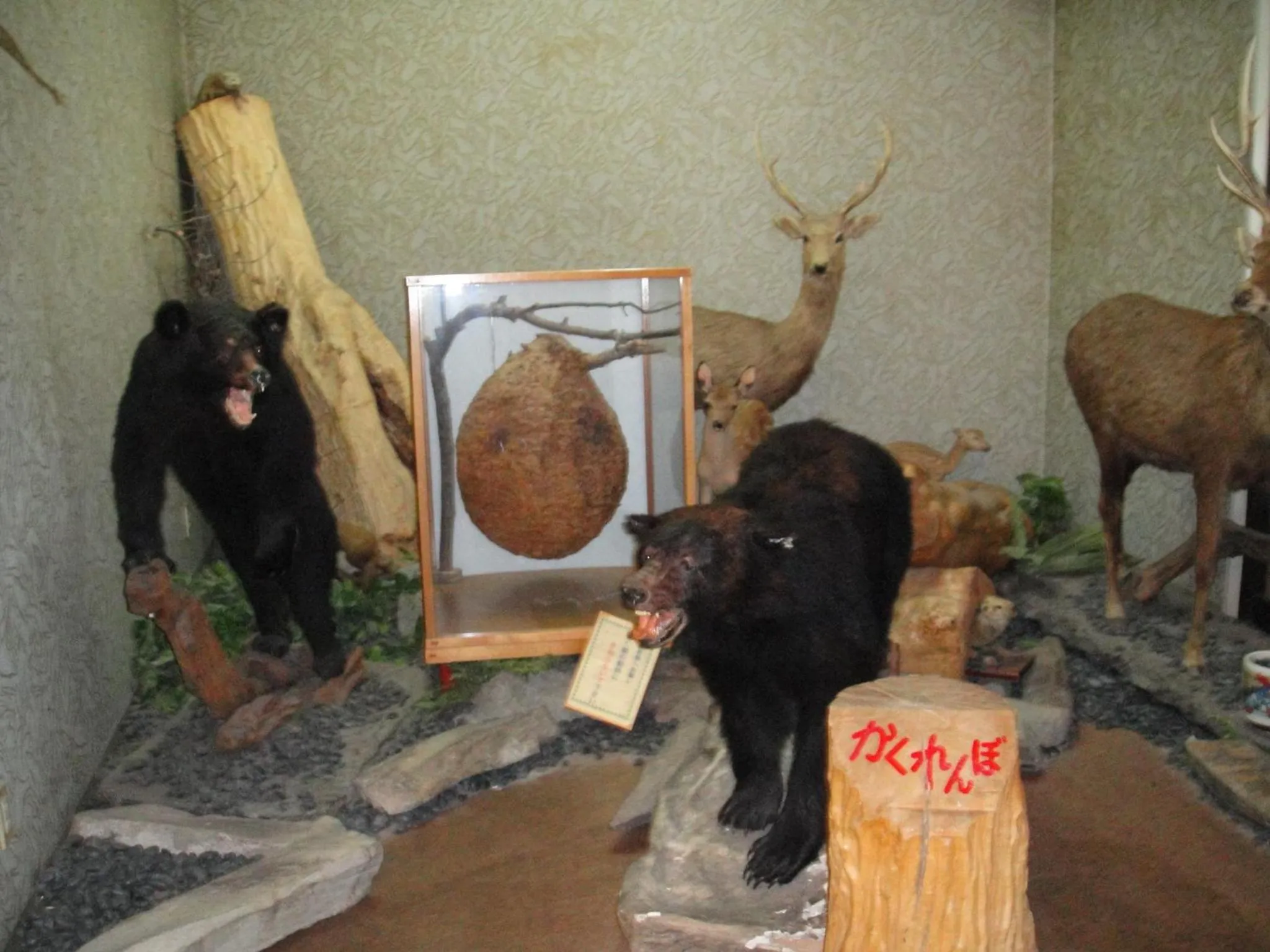 Decorative detail in Hotel New Ohruri