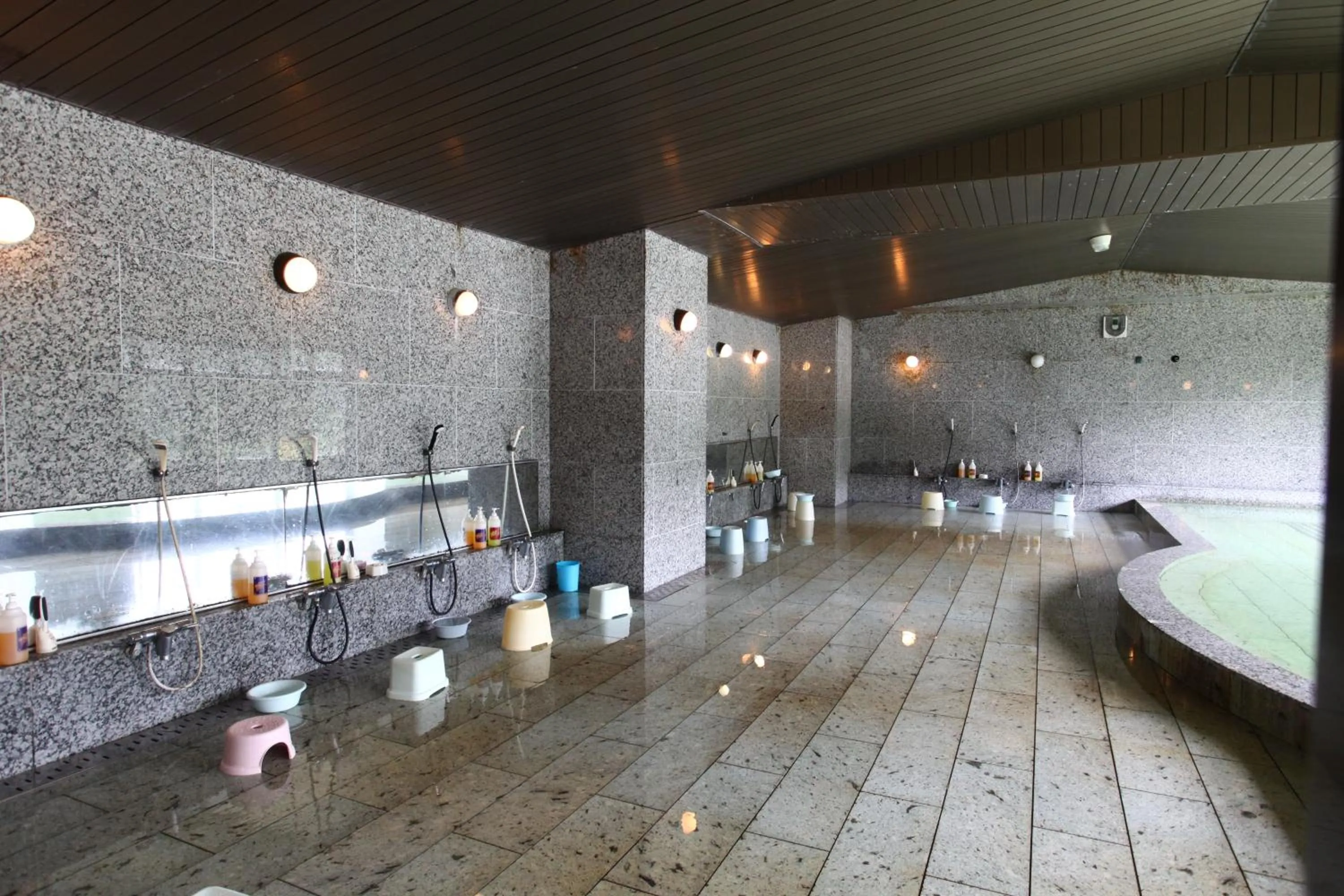Public Bath in Hotel New Ohruri