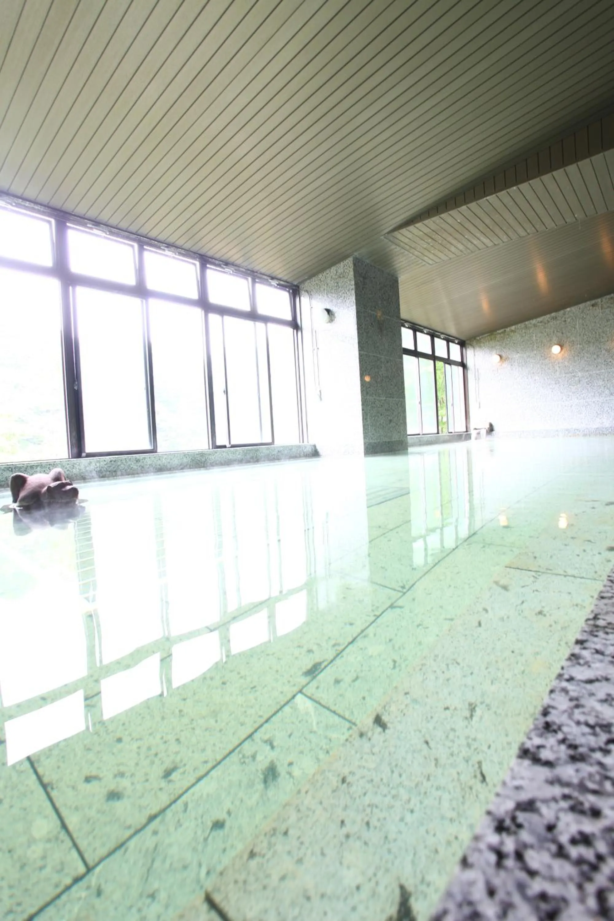 Public Bath in Hotel New Ohruri