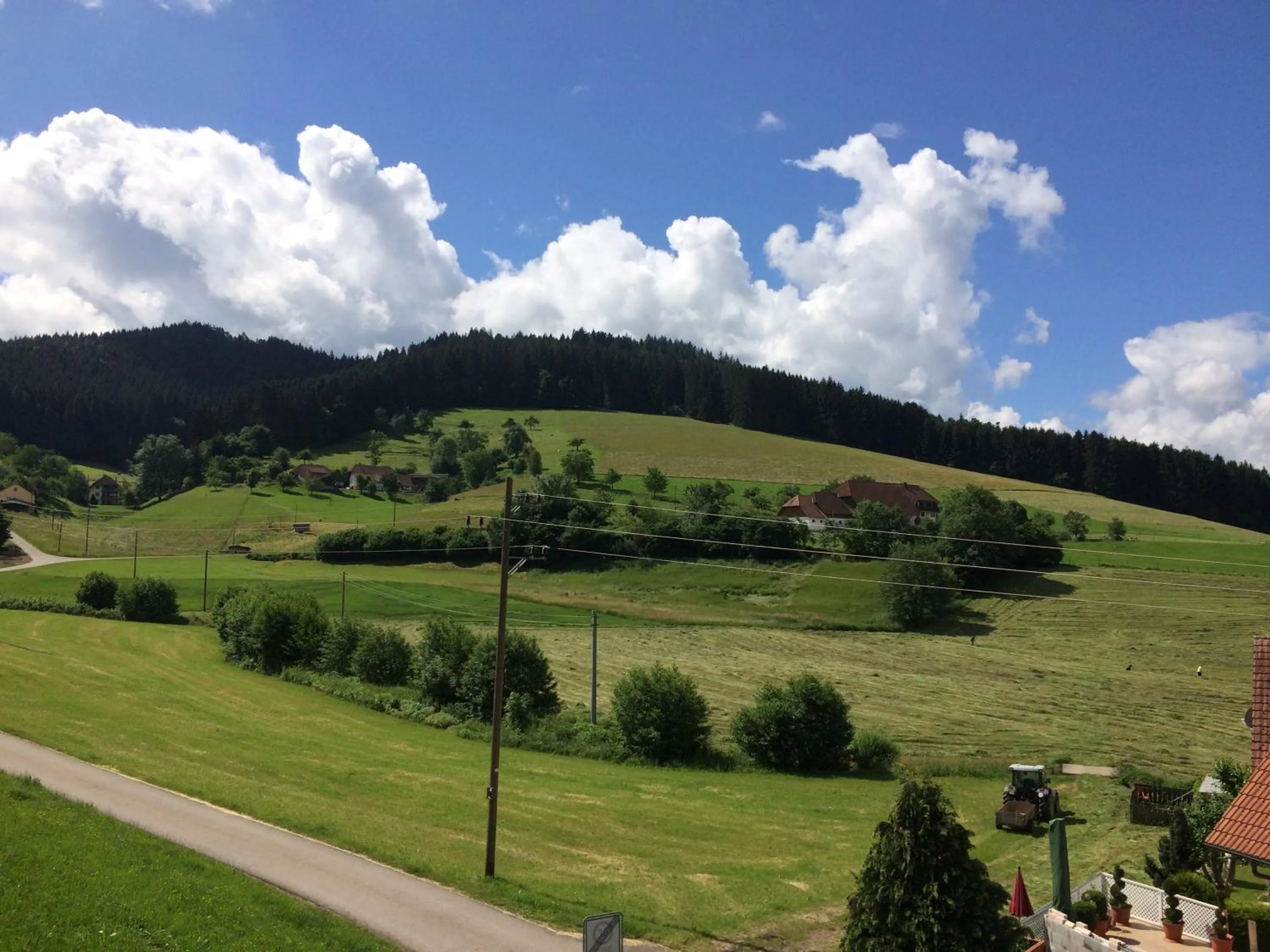 Mountain view in Gasthof Richebächli