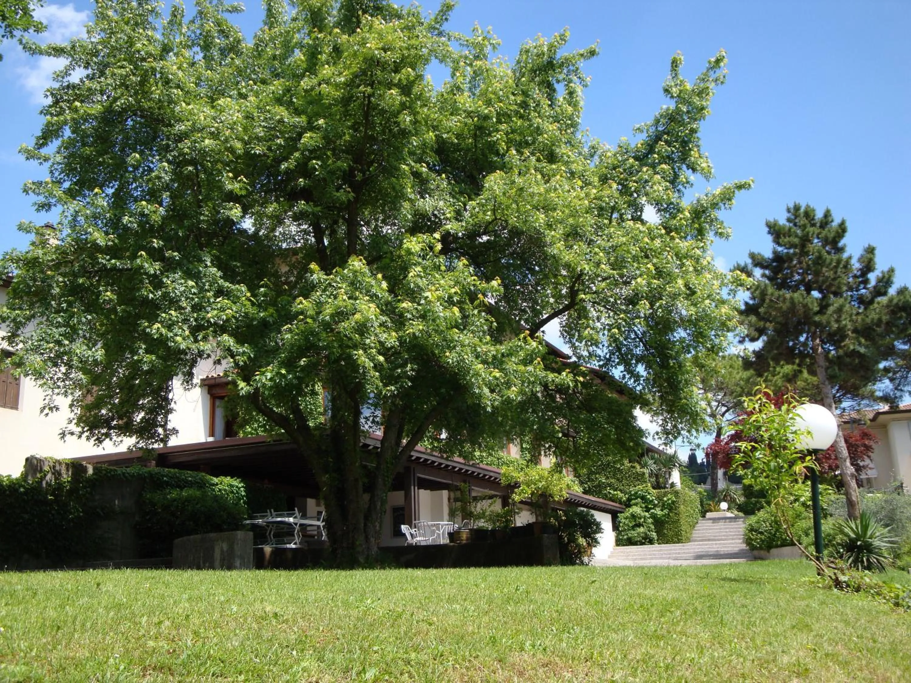 Day in Sporting Hotel Ragno D'oro