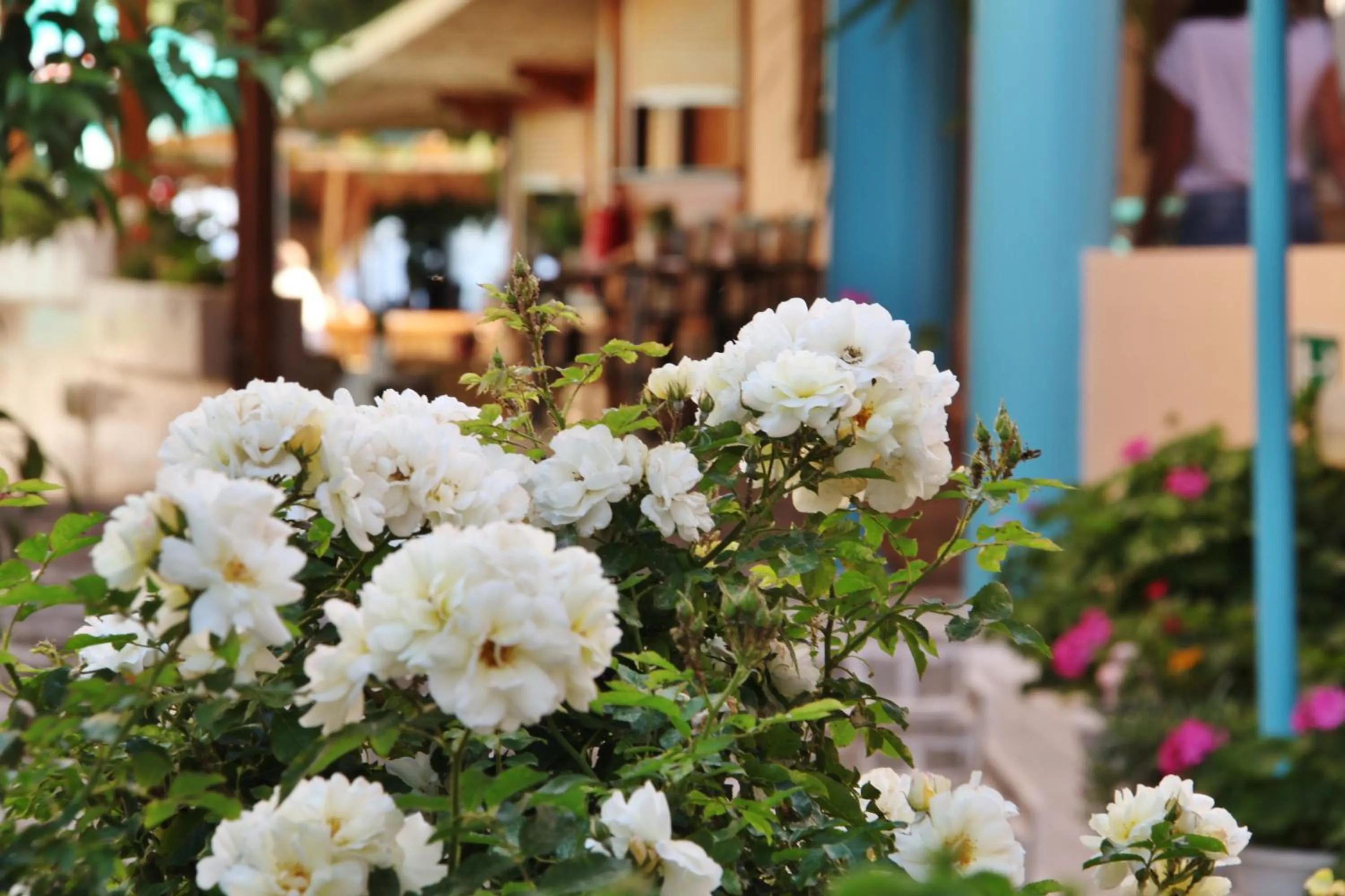 BBQ facilities in Santa Irene