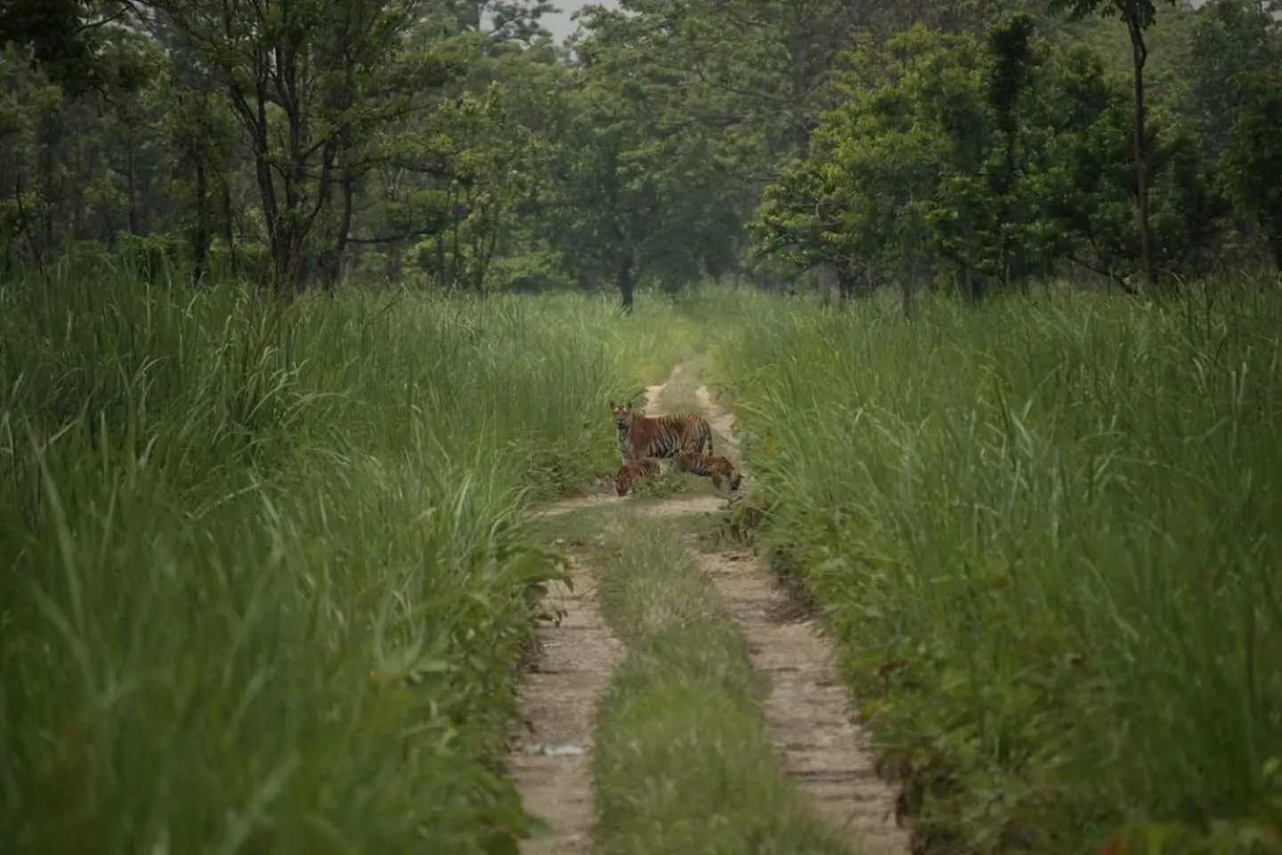 Hiking in Chitwan Village Resort