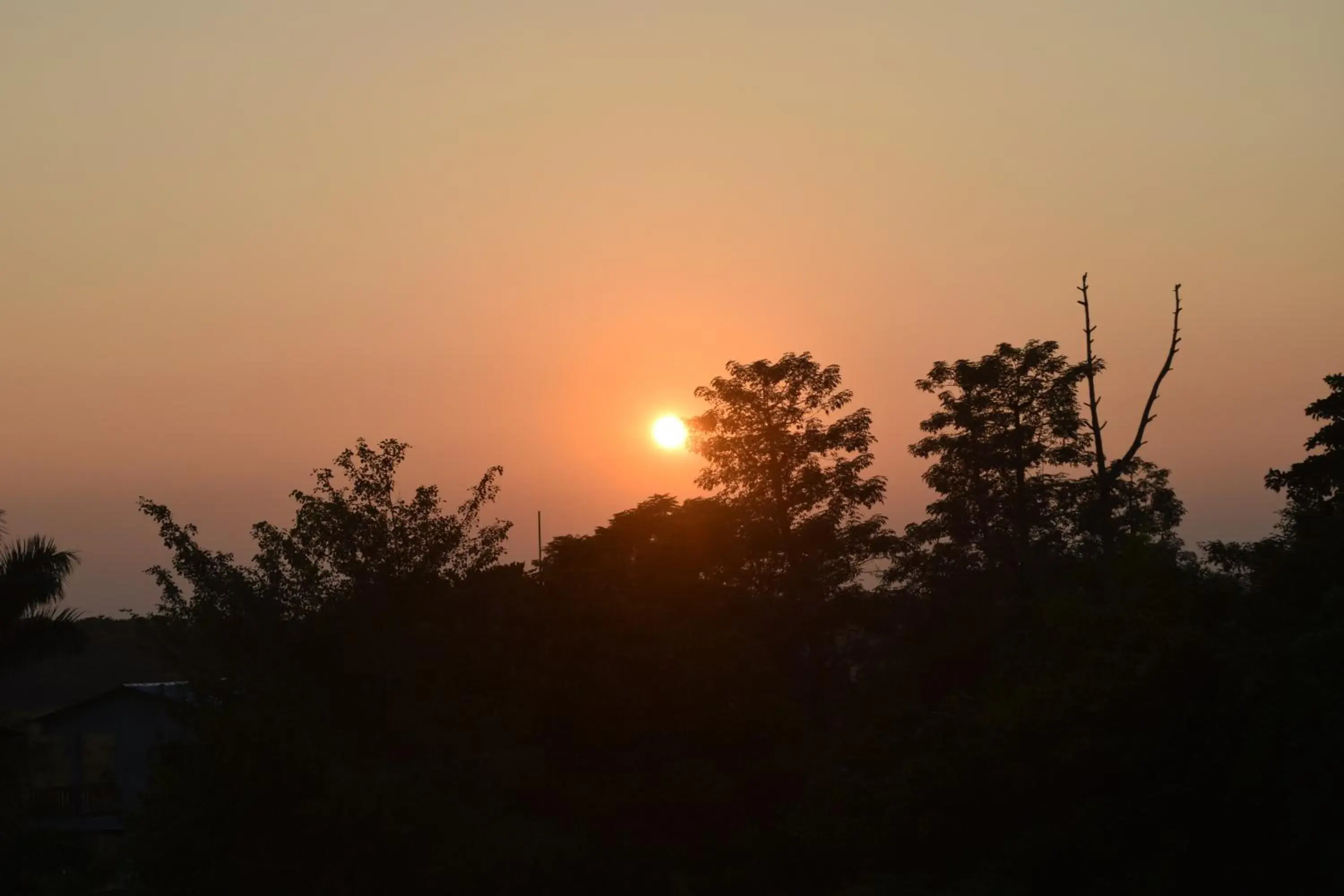 View (from property/room) in Chitwan Village Resort View (from property/room) in Chitwan Village Resort