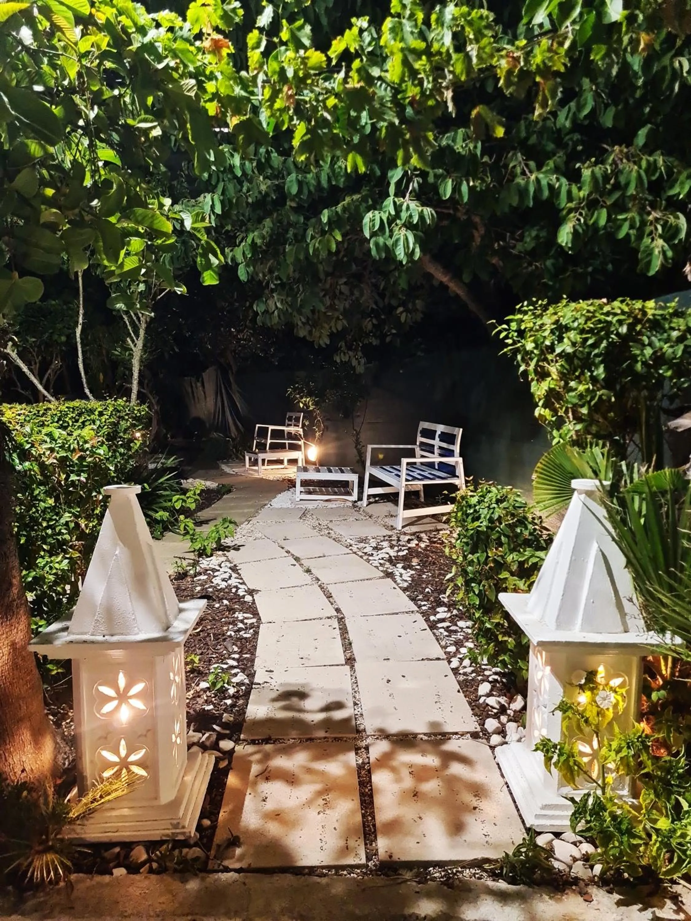 Garden in Hotel Alcaide