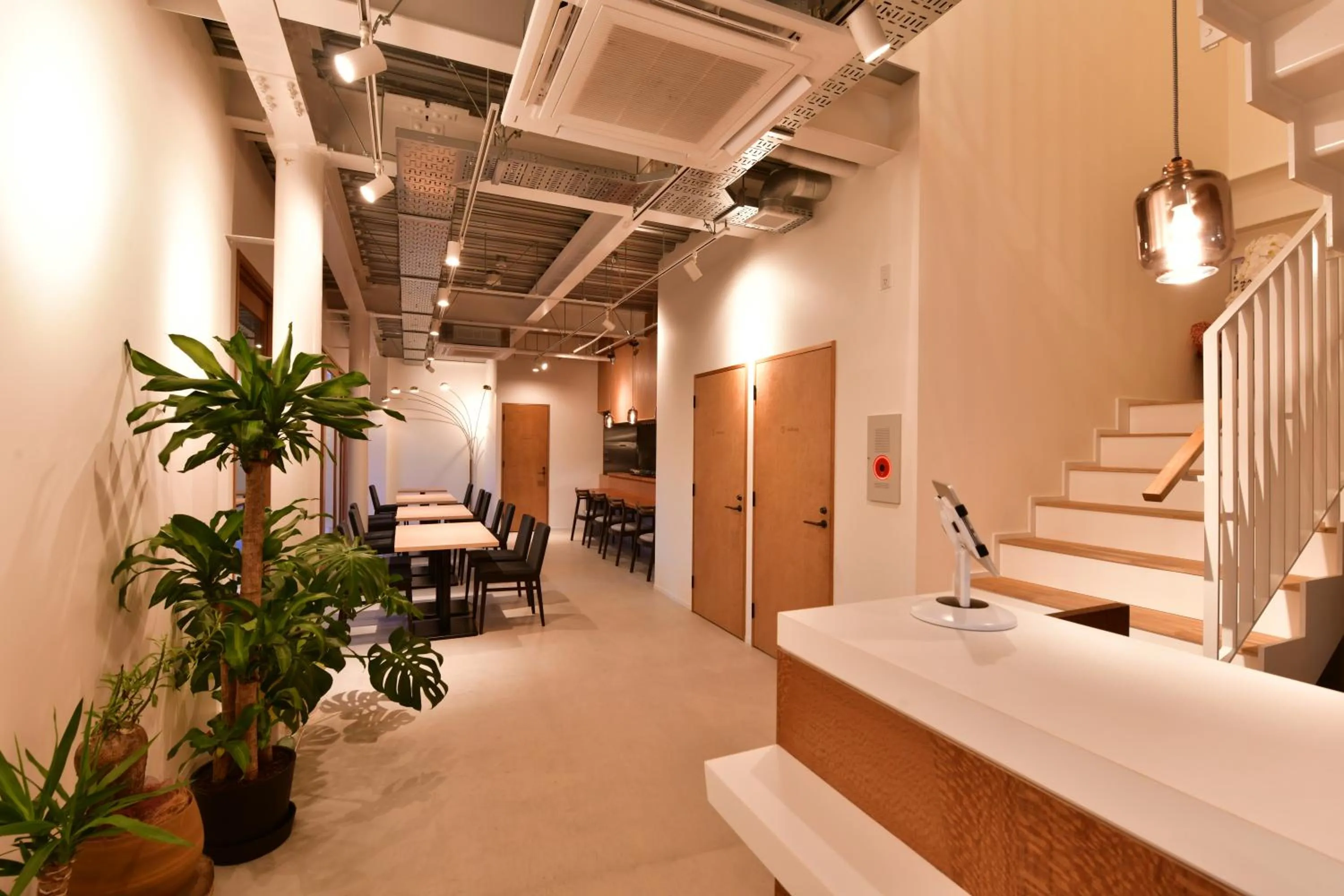 Restaurant/places to eat in kānusuba zamami