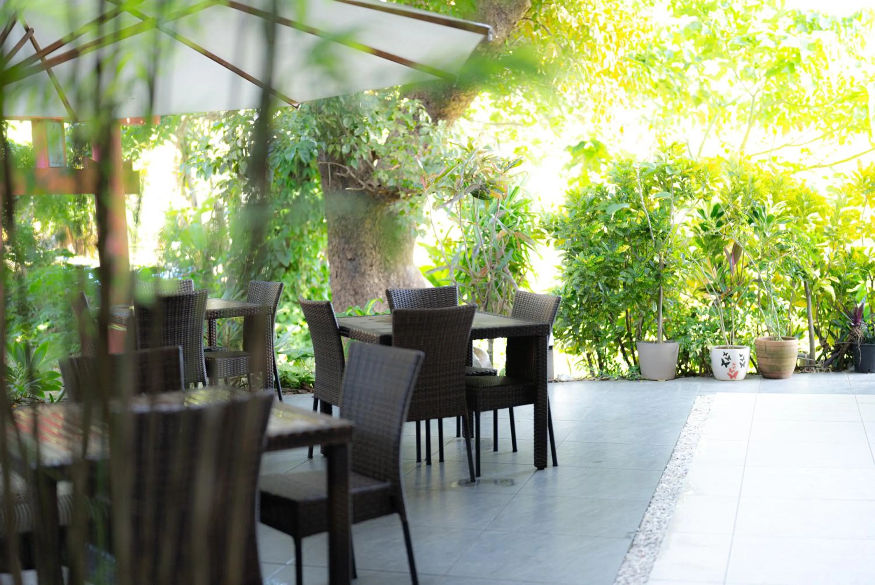 Balcony/Terrace in kānusuba zamami