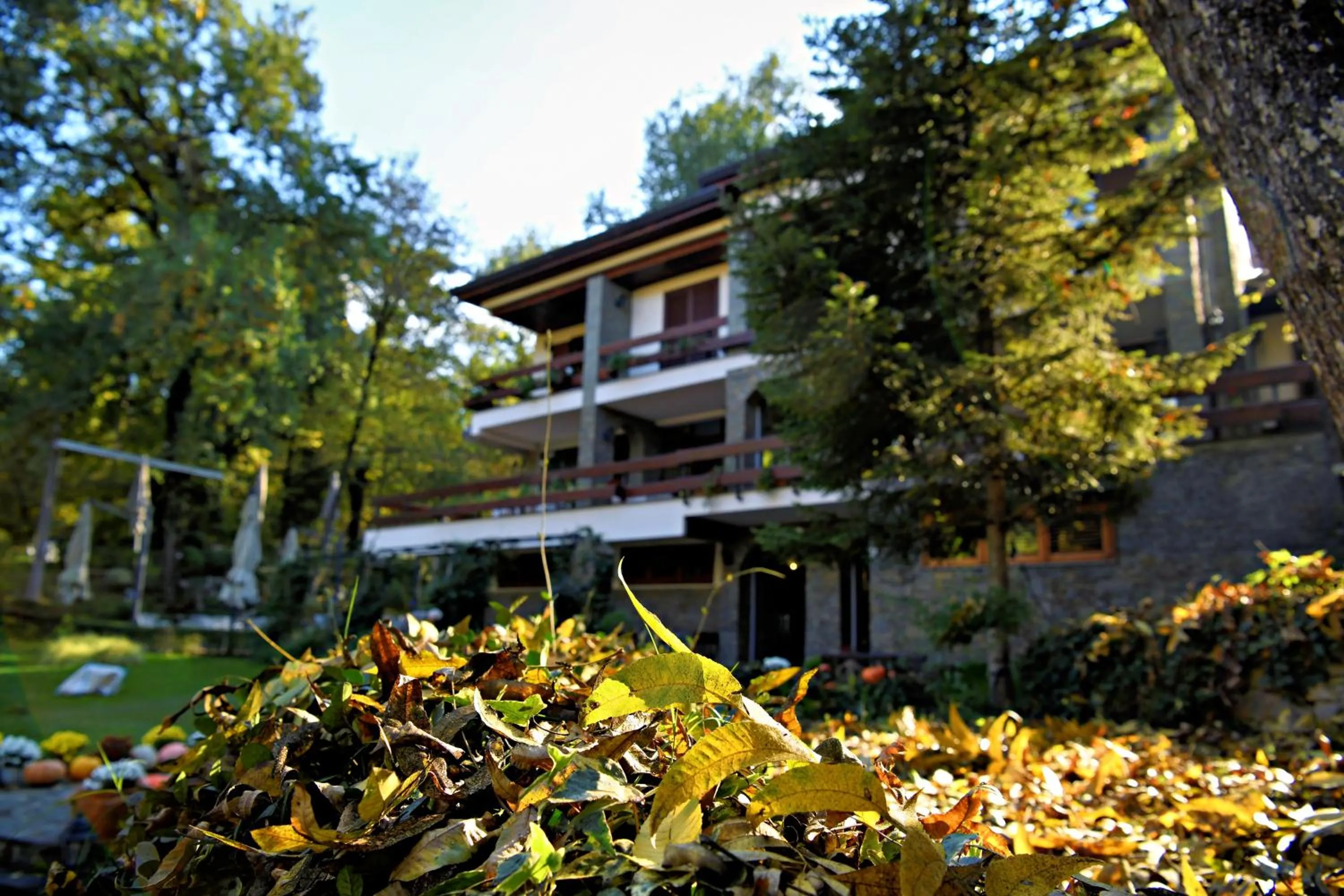 Hotel Restaurant Dreri