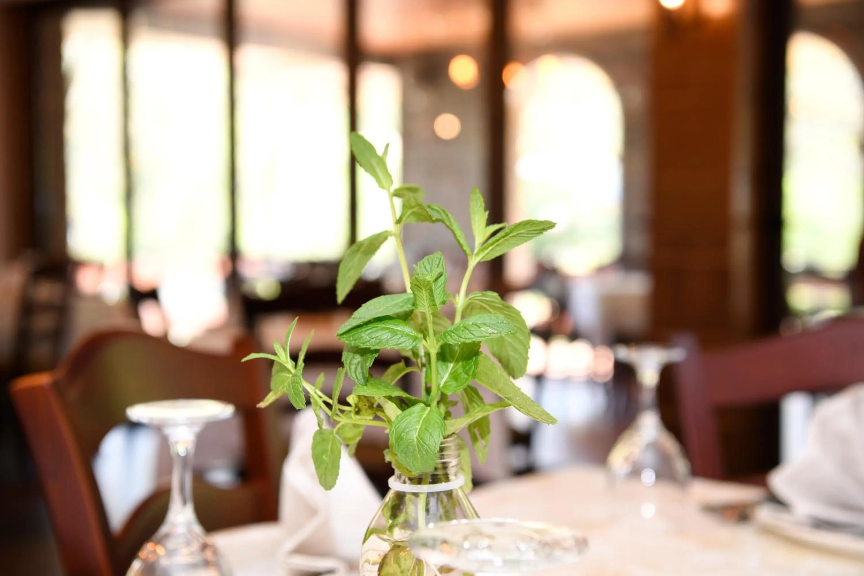 Hotel Restaurant Dreri