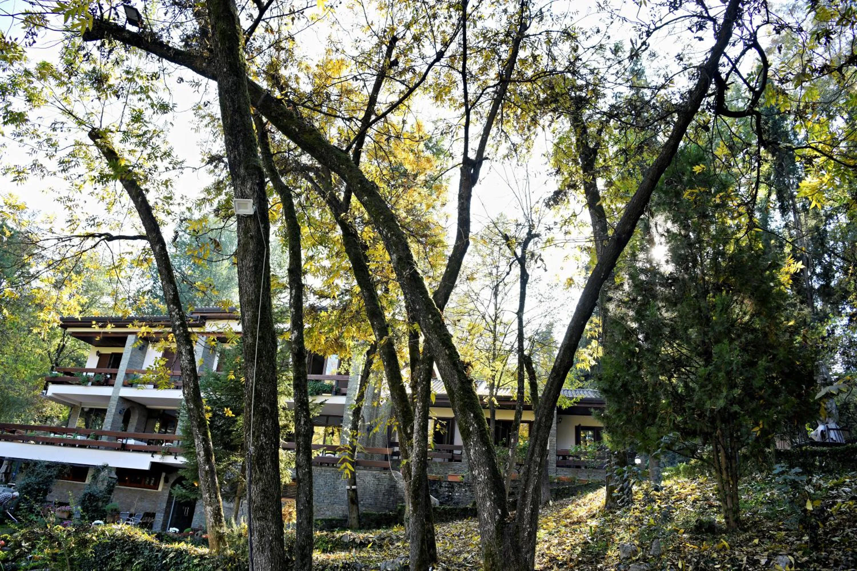 Hotel Restaurant Dreri