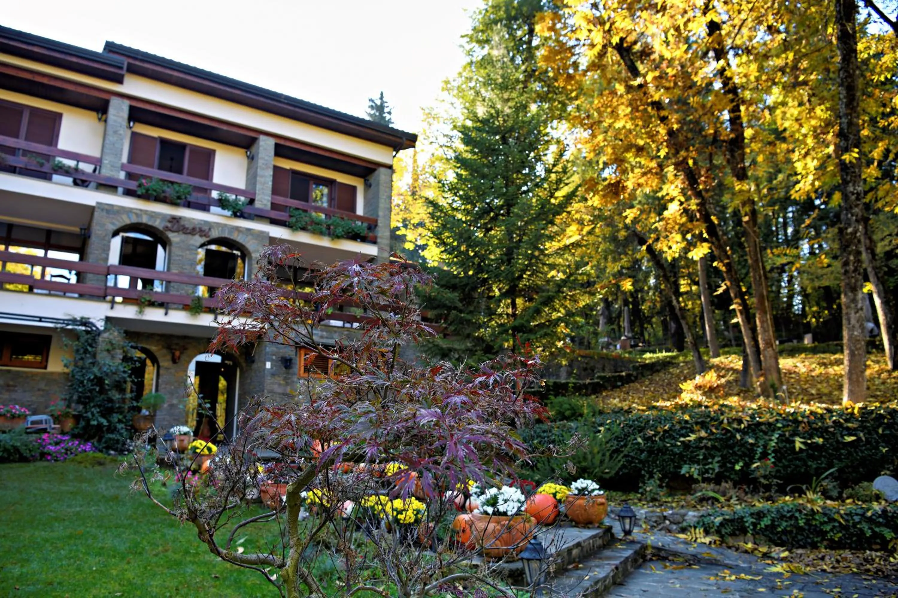 Hotel Restaurant Dreri