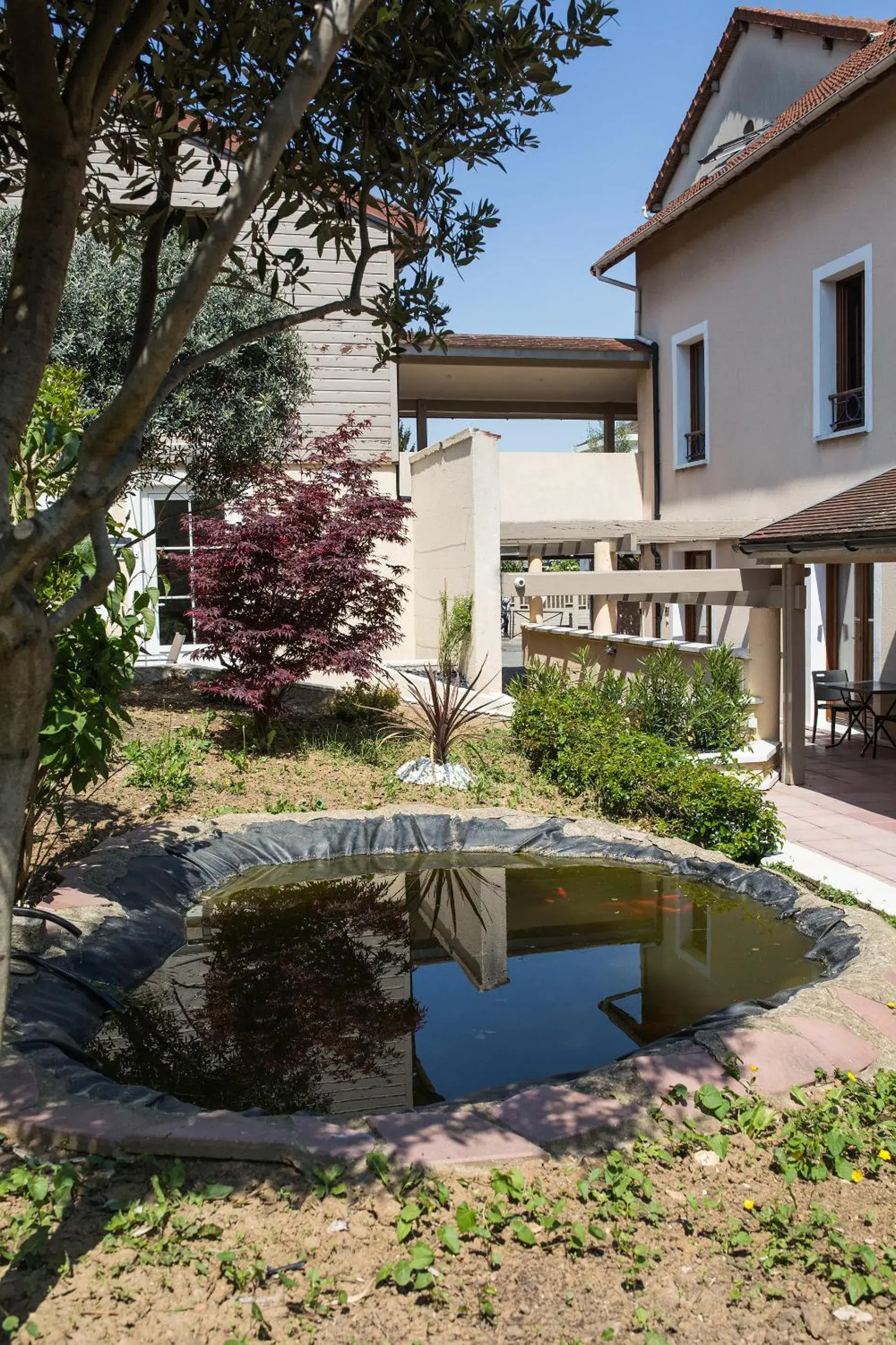 Garden, Swimming Pool in La Ferme Des Barmonts