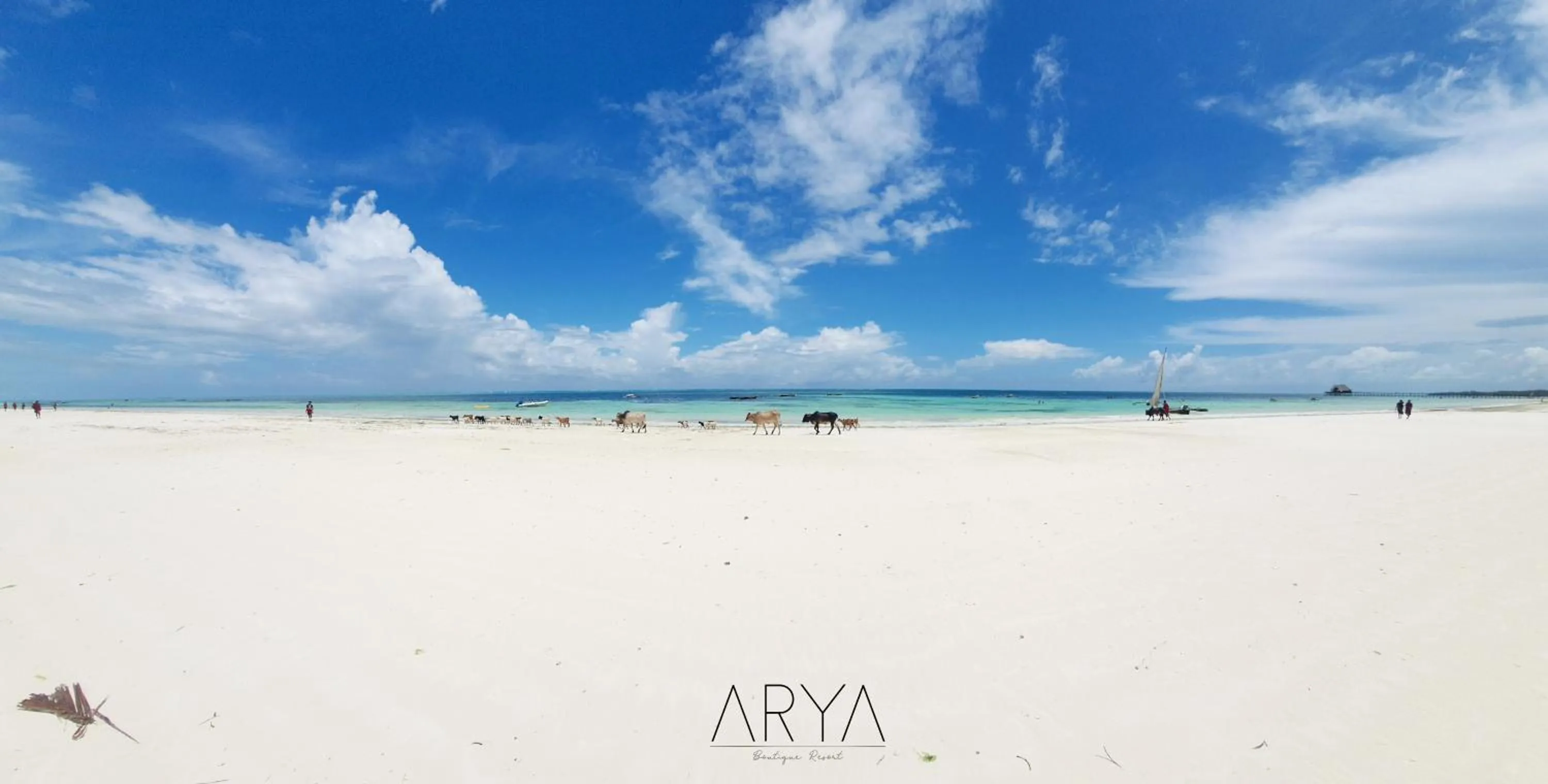 ARYA Boutique Resort