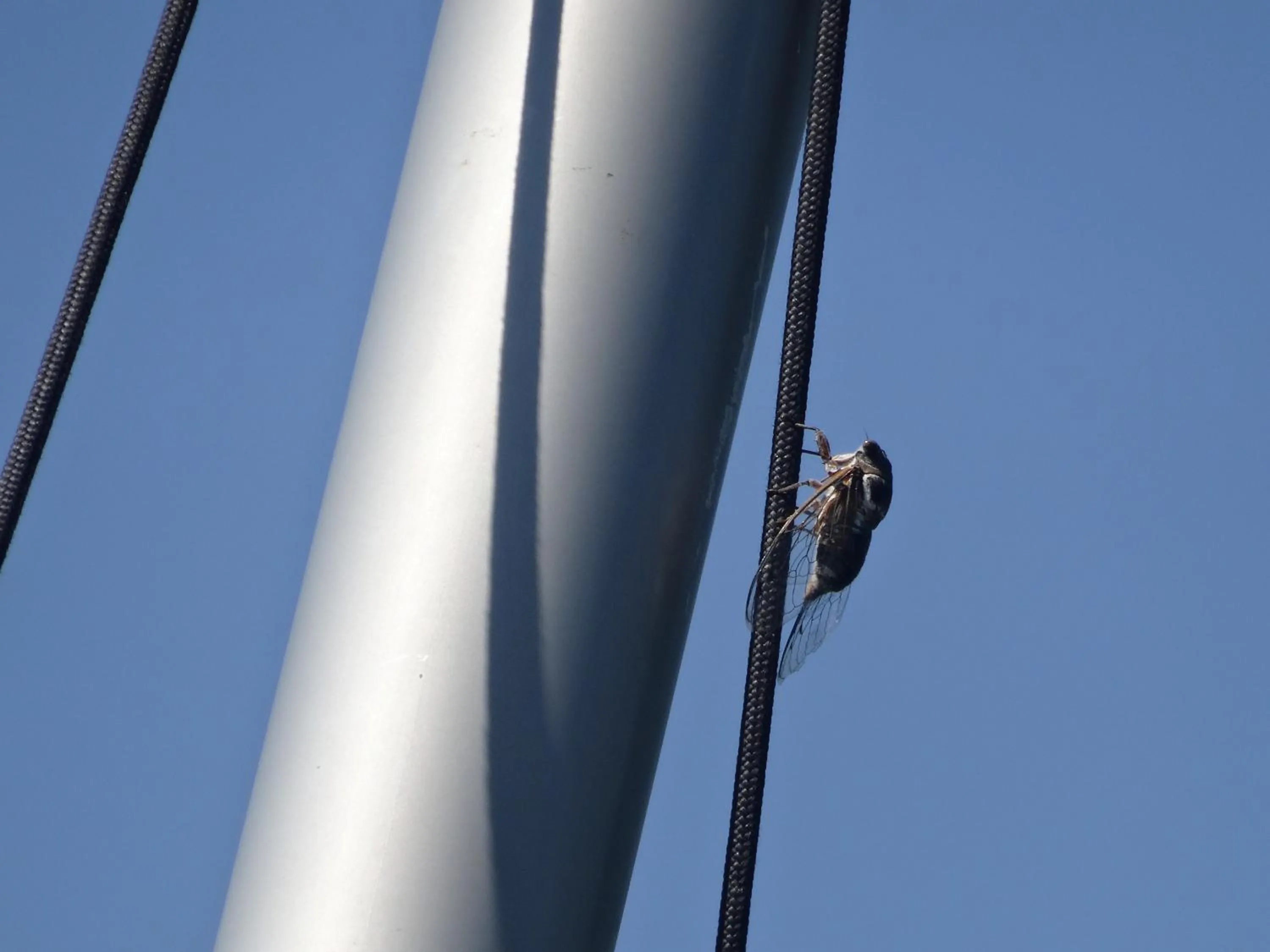 Summer in La LUNA of MARSEILLE - VILLA D'ARCHITECTE B&B