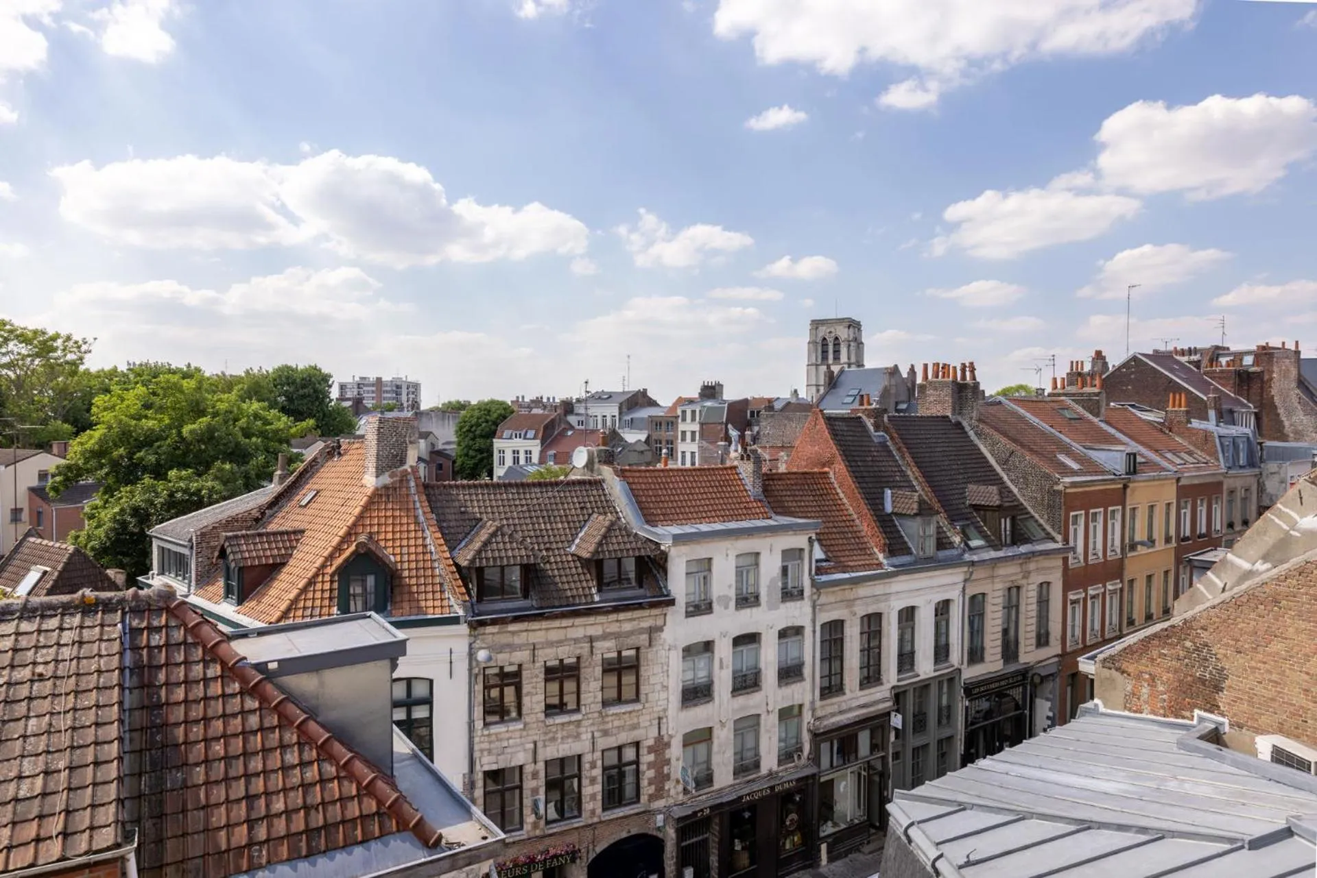 View (from property/room) in Au Chat Qui Dort Lille - Thiers