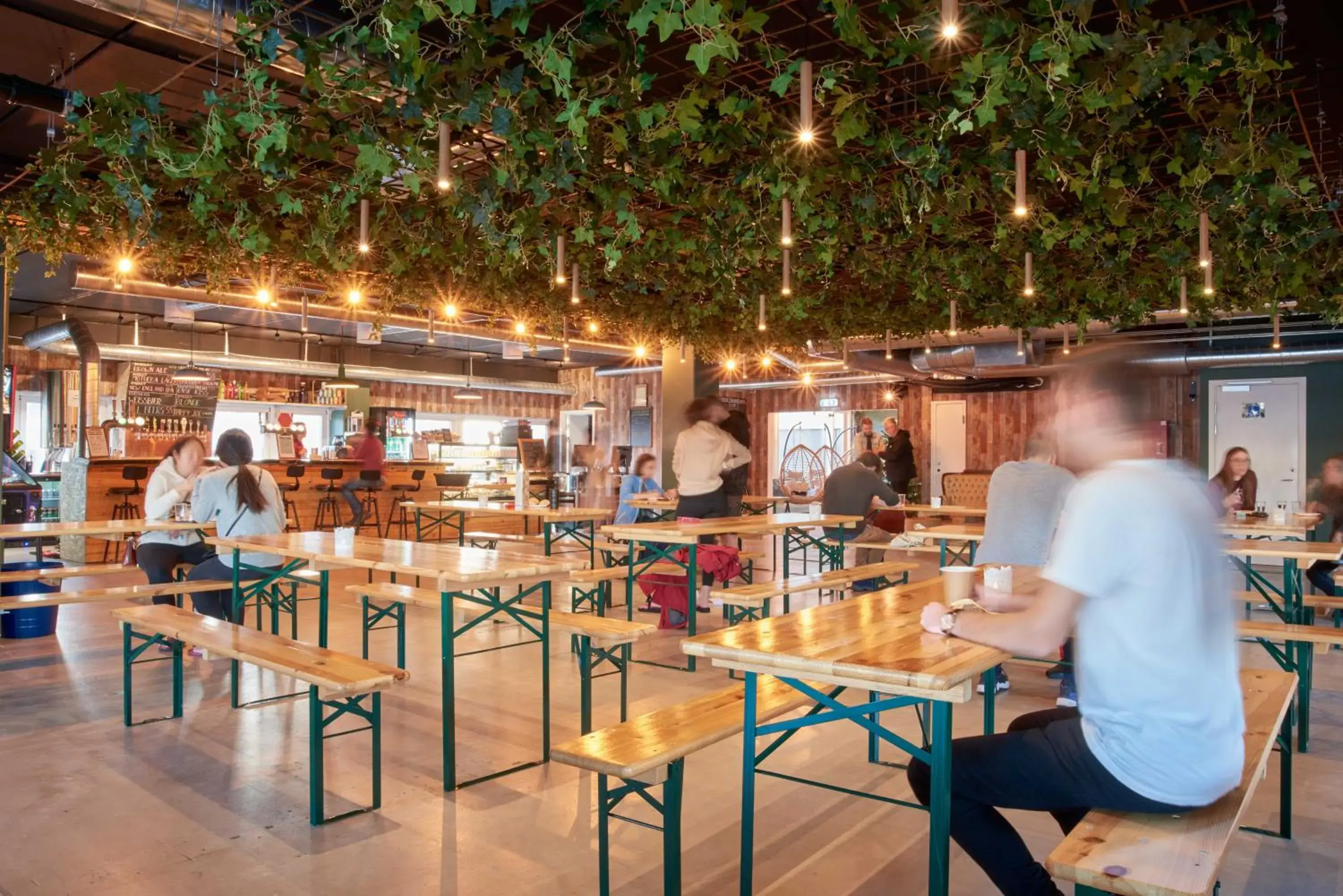 Lounge or bar in Urban Camper Hostel & Bar Lounge or bar in Urban Camper Hostel & Bar