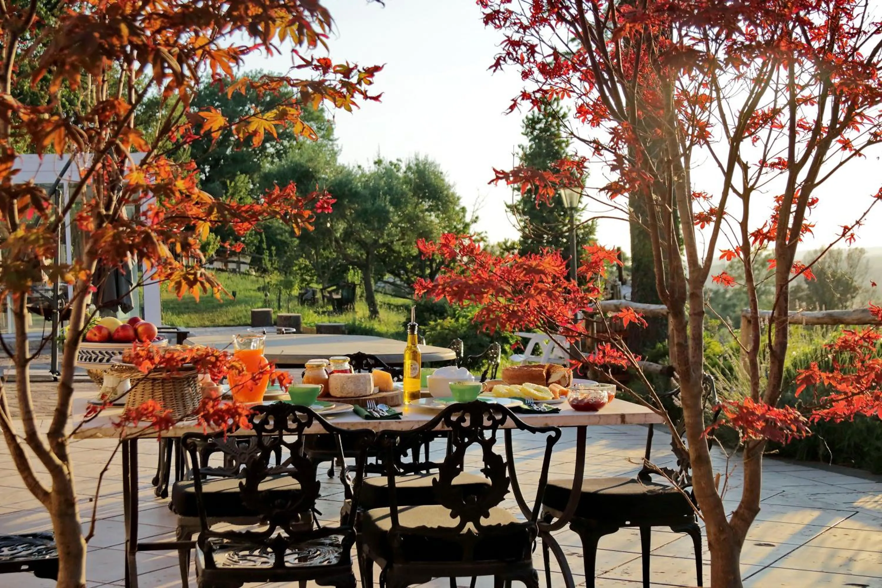 Restaurant/places to eat in Tenuta Lisetta