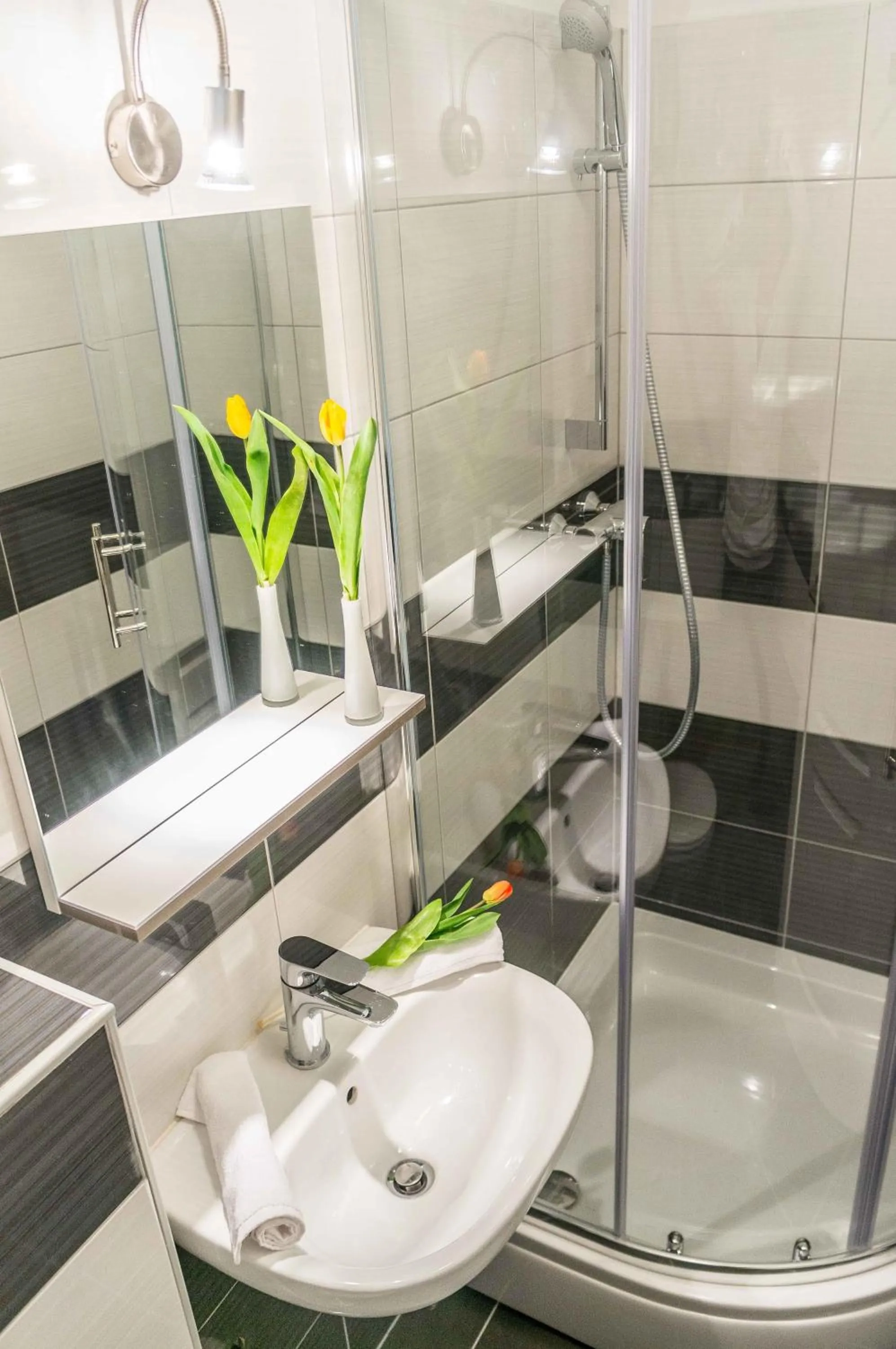 Shower in Split Allure Apartments