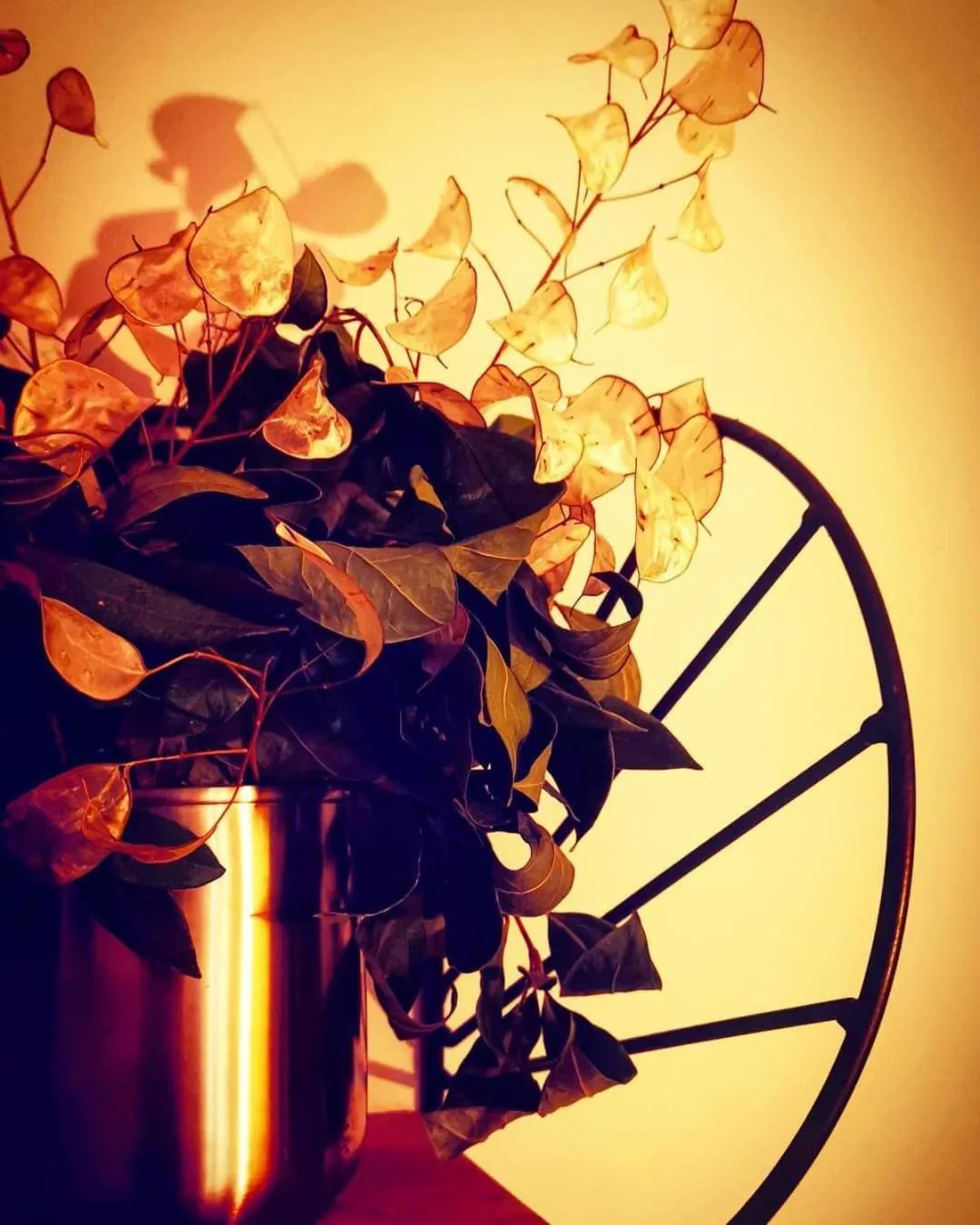 Decorative detail in Casa do Castelo