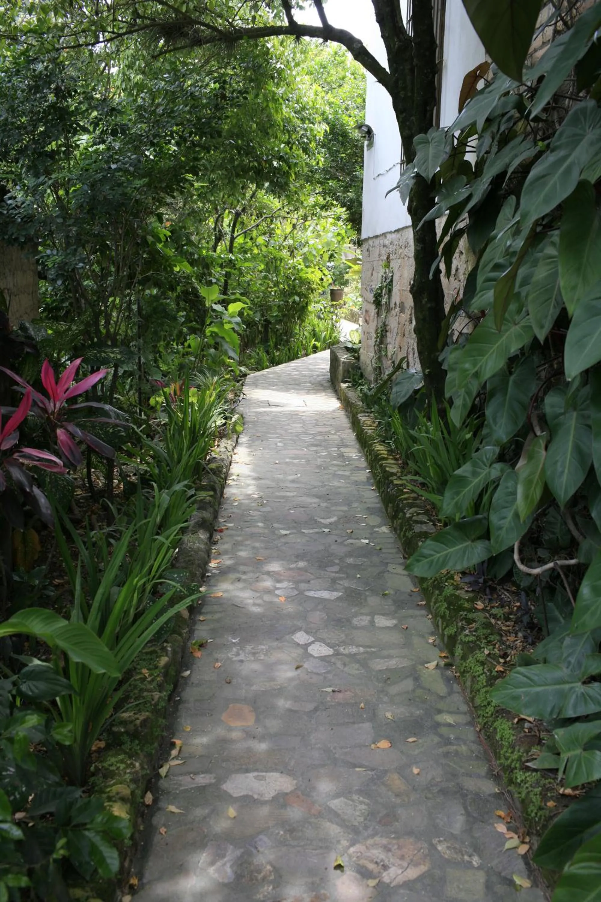 Hotel and Restaurant Guancascos