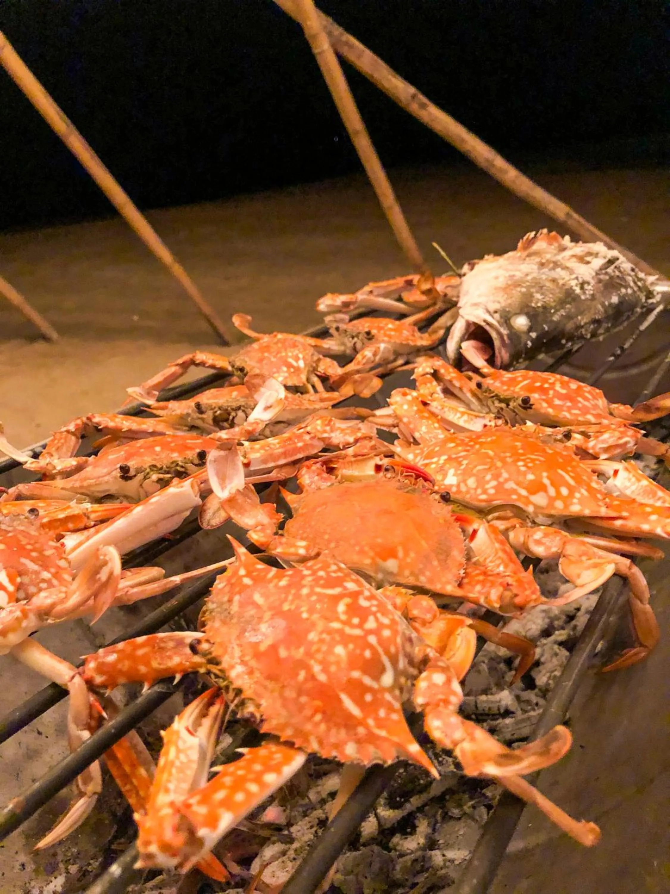 BBQ facilities in Seaman Resort