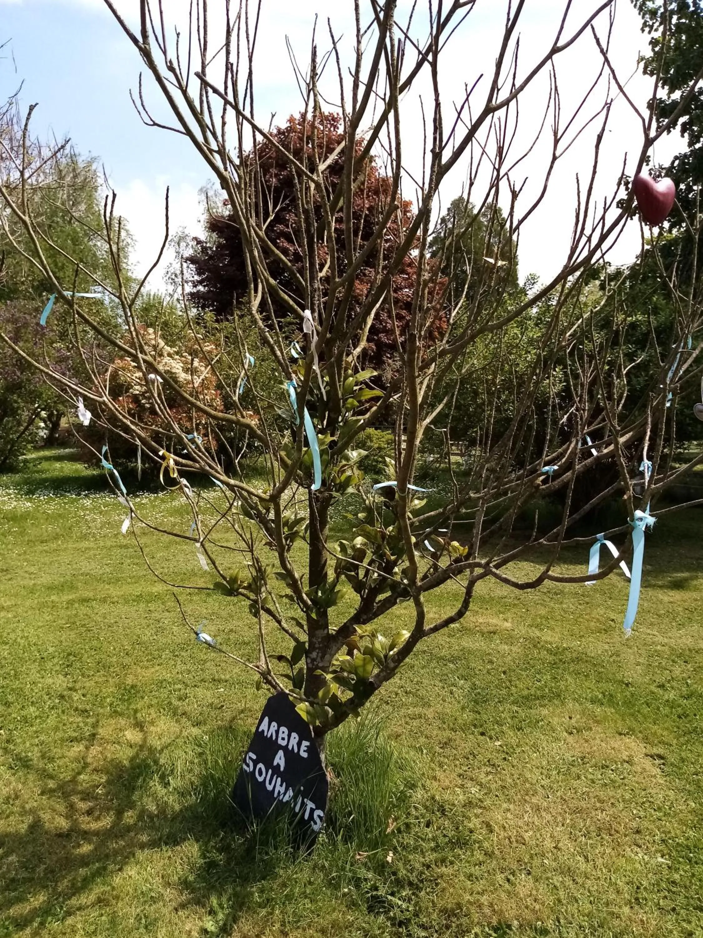 LES TONNEAUX DE L'EURE LOGEMENT INSOLITE