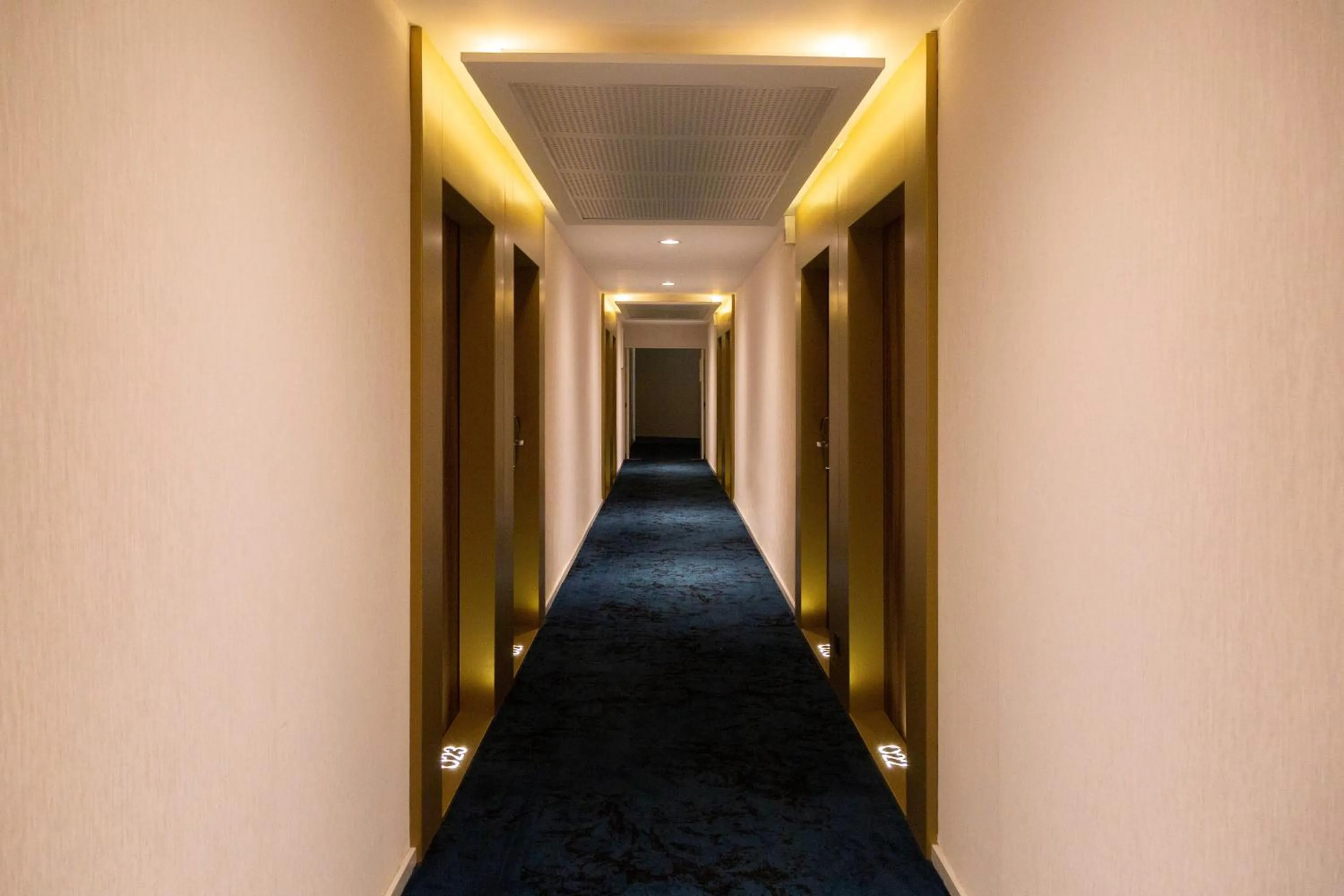 Property building in Paxton Paris MLV