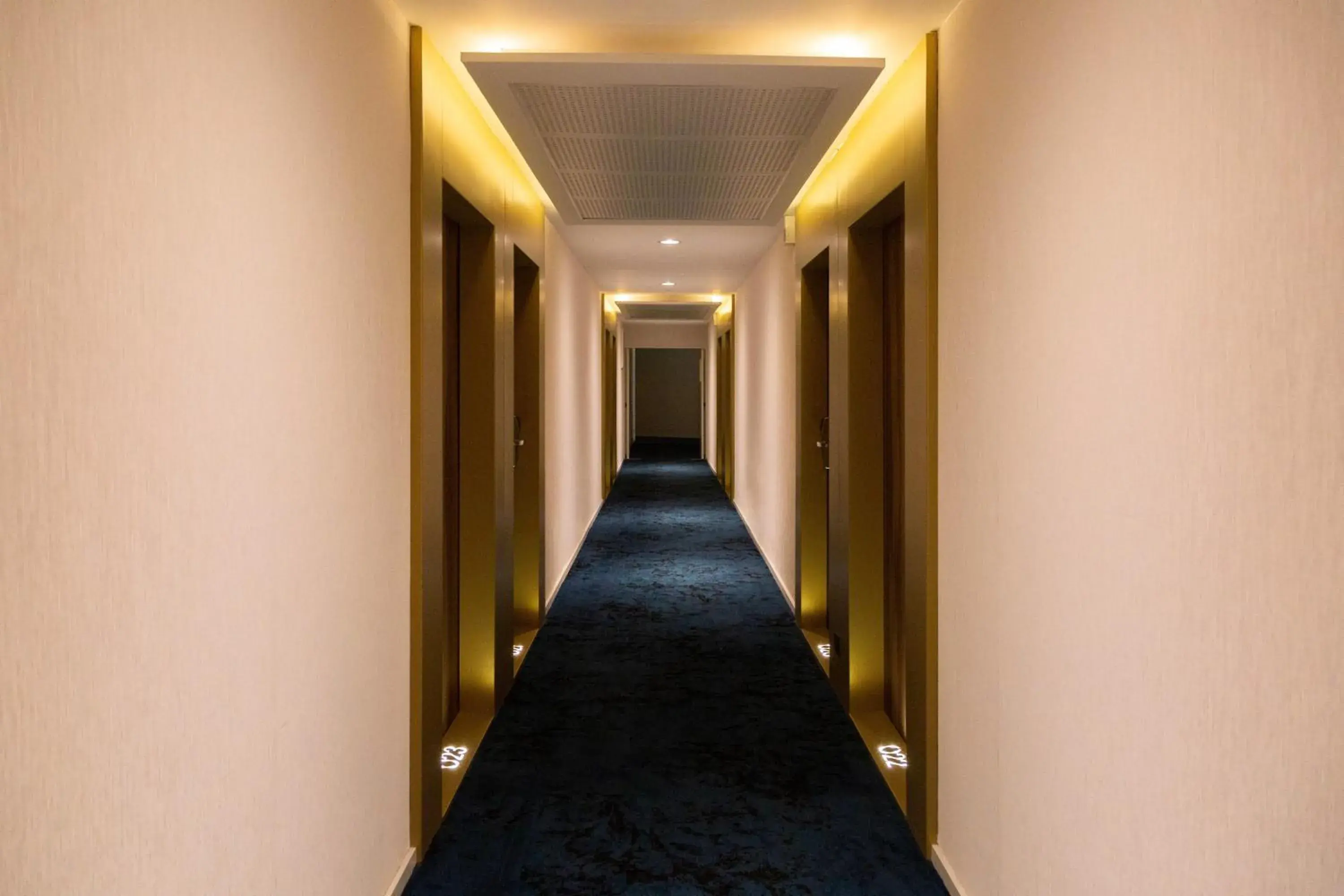 Property building in Paxton Paris MLV Property building in Paxton Paris MLV