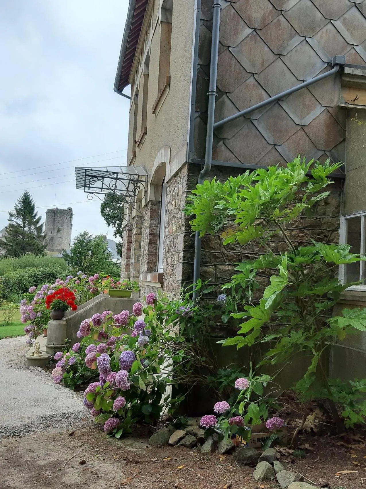 Garden view in La Garenne