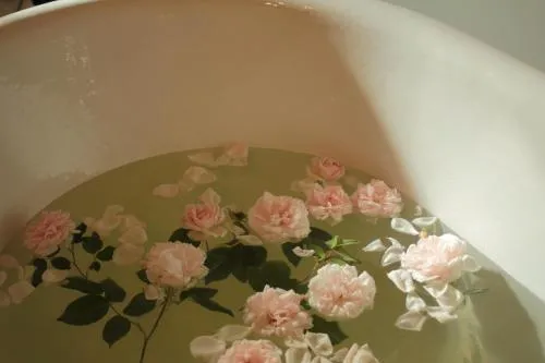 Rose Residence