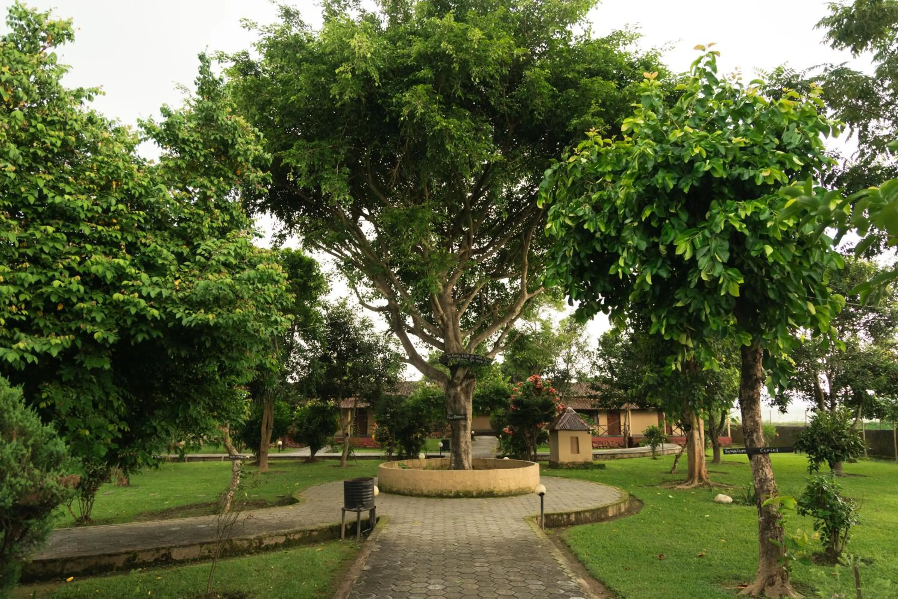 Garden in Wild Adventure Resort - Sunset Point