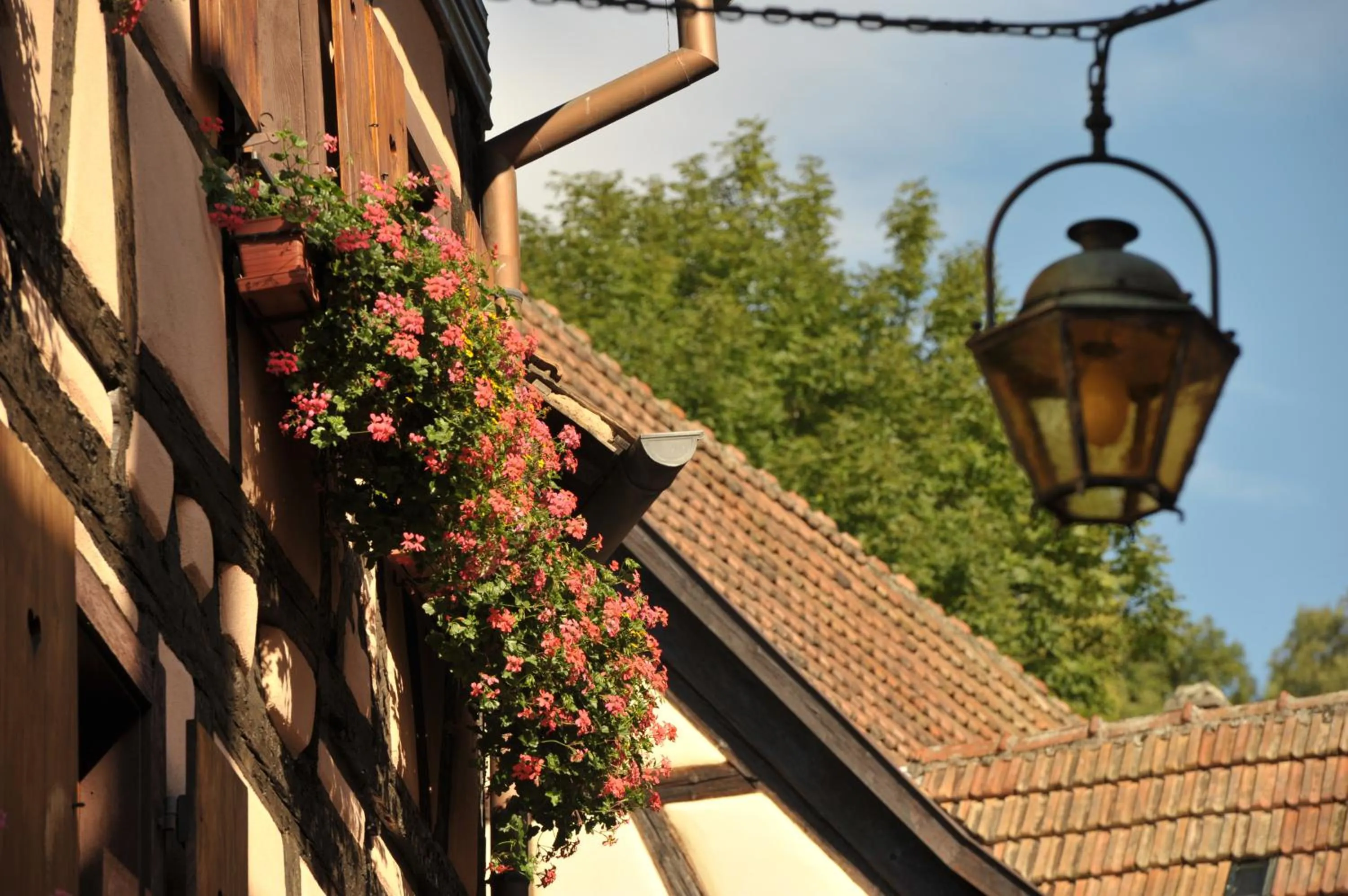 Facade/entrance in Logis Hôtel Restaurant De La Poste et SPA de Montagne
