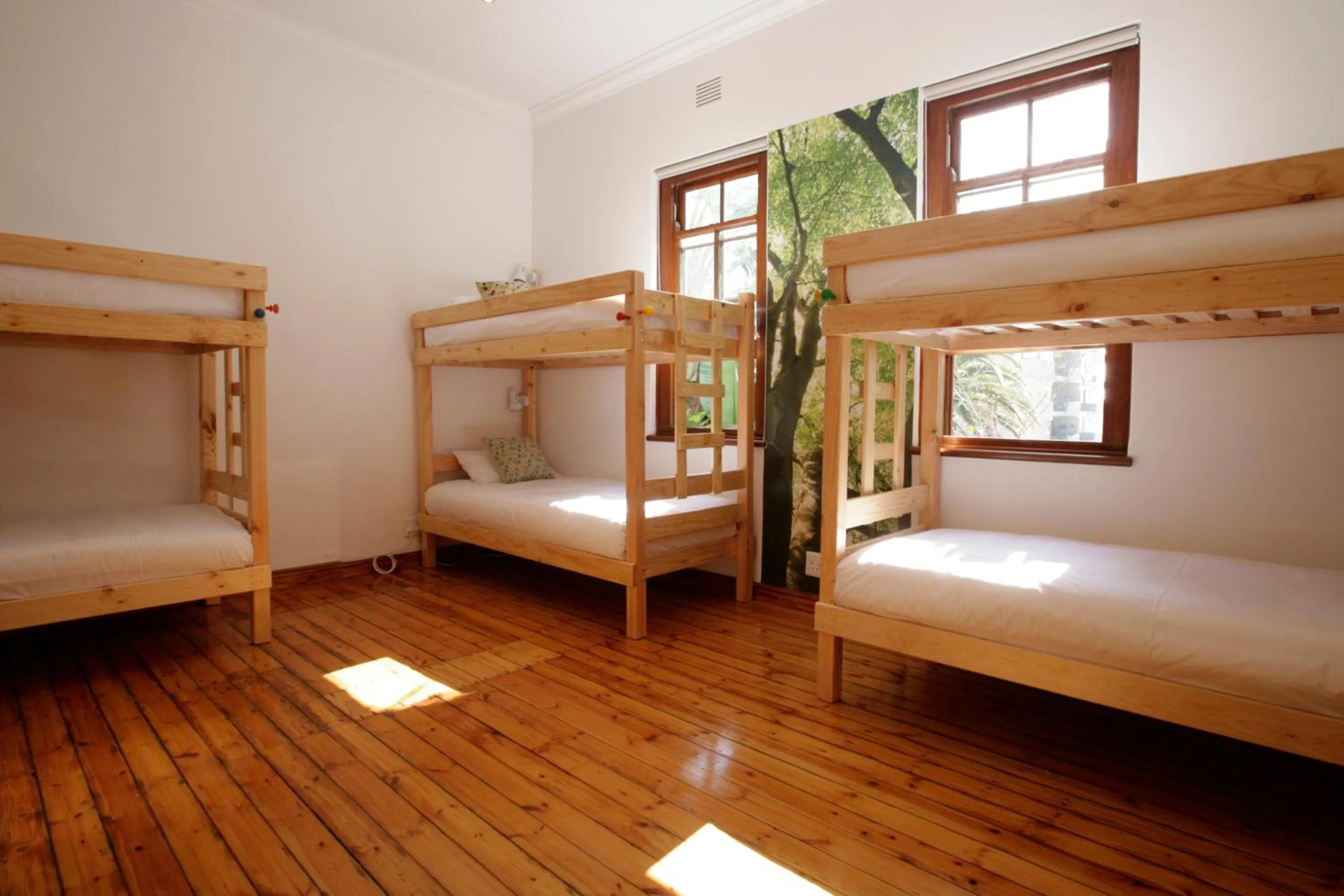 Photo of the whole room, Bunk Bed in Atlantic Point Backpackers