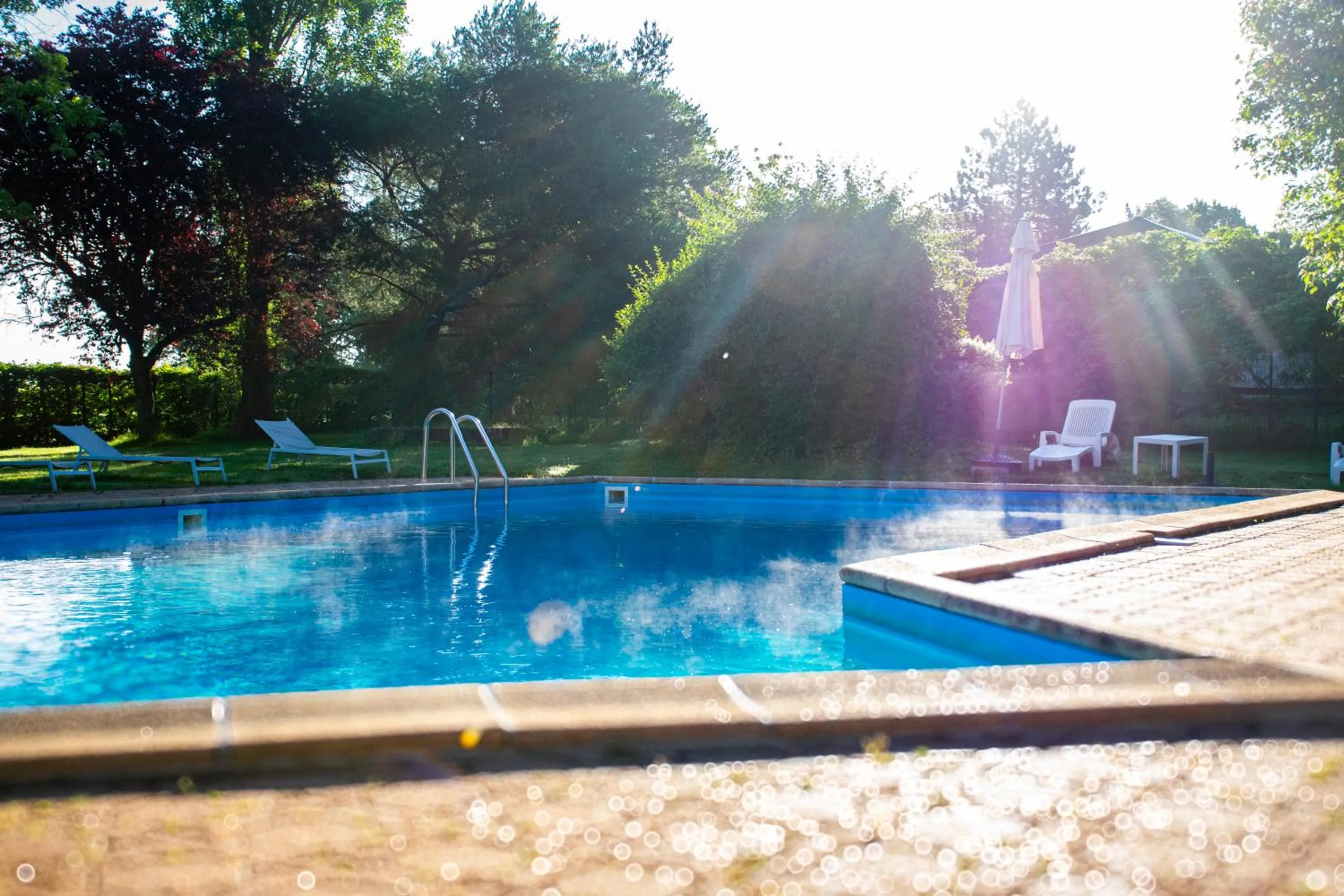 Swimming pool in Le relais fleuri, Hôtel et restaurant Logis - Avallon
