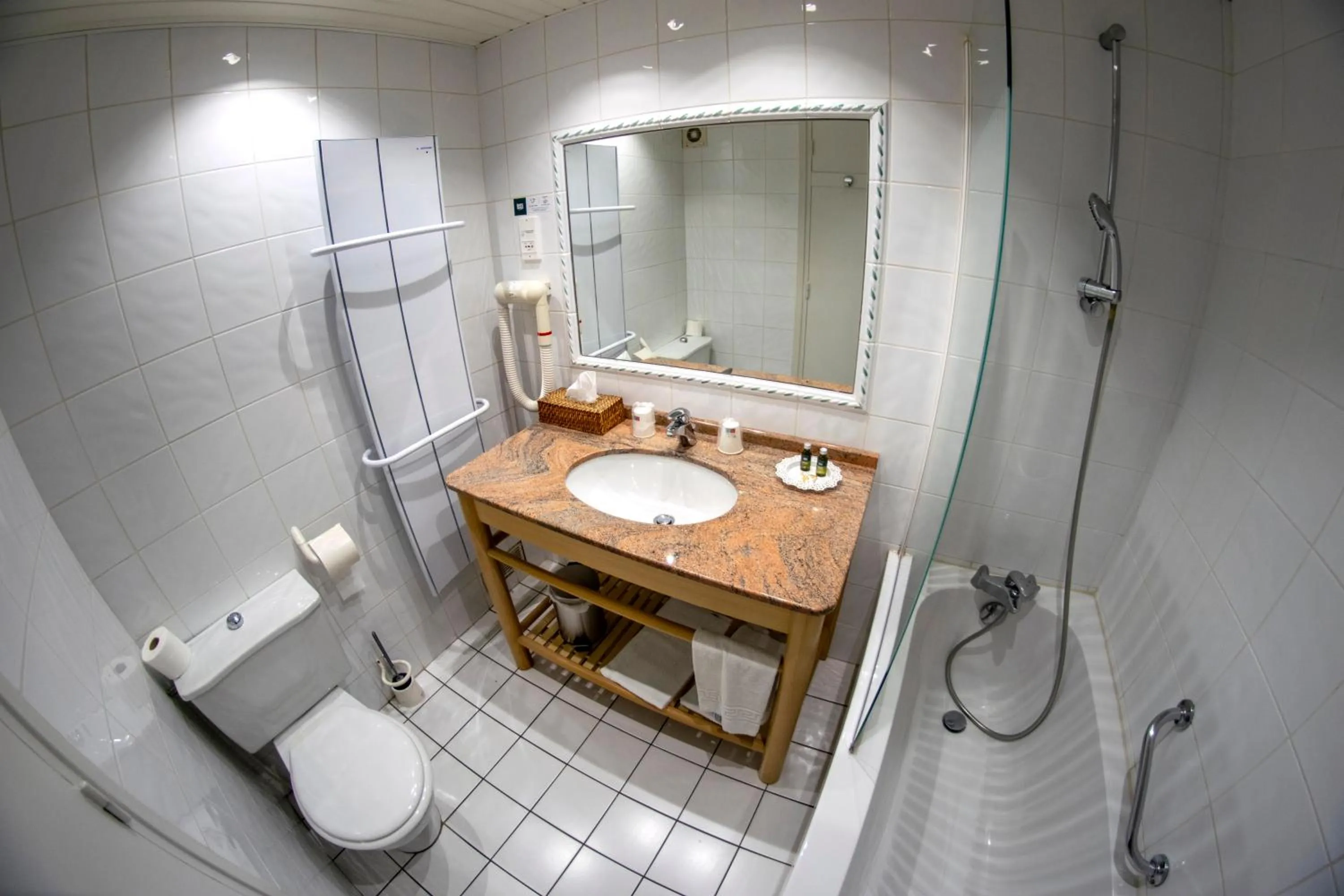 Toilet in Le relais fleuri, Hôtel et restaurant Logis - Avallon