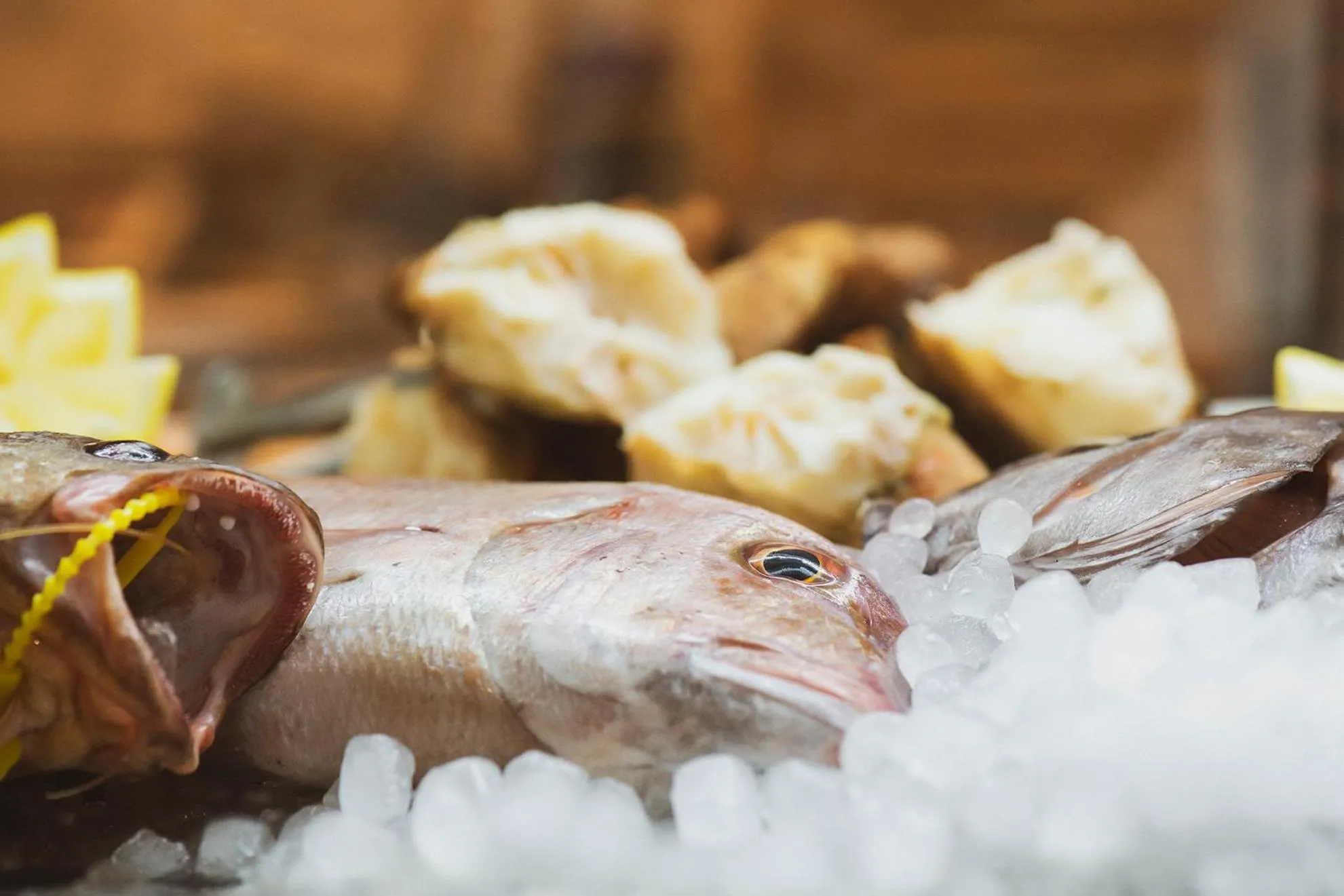 Restaurant/places to eat in Alzocaire Hostal Boutique