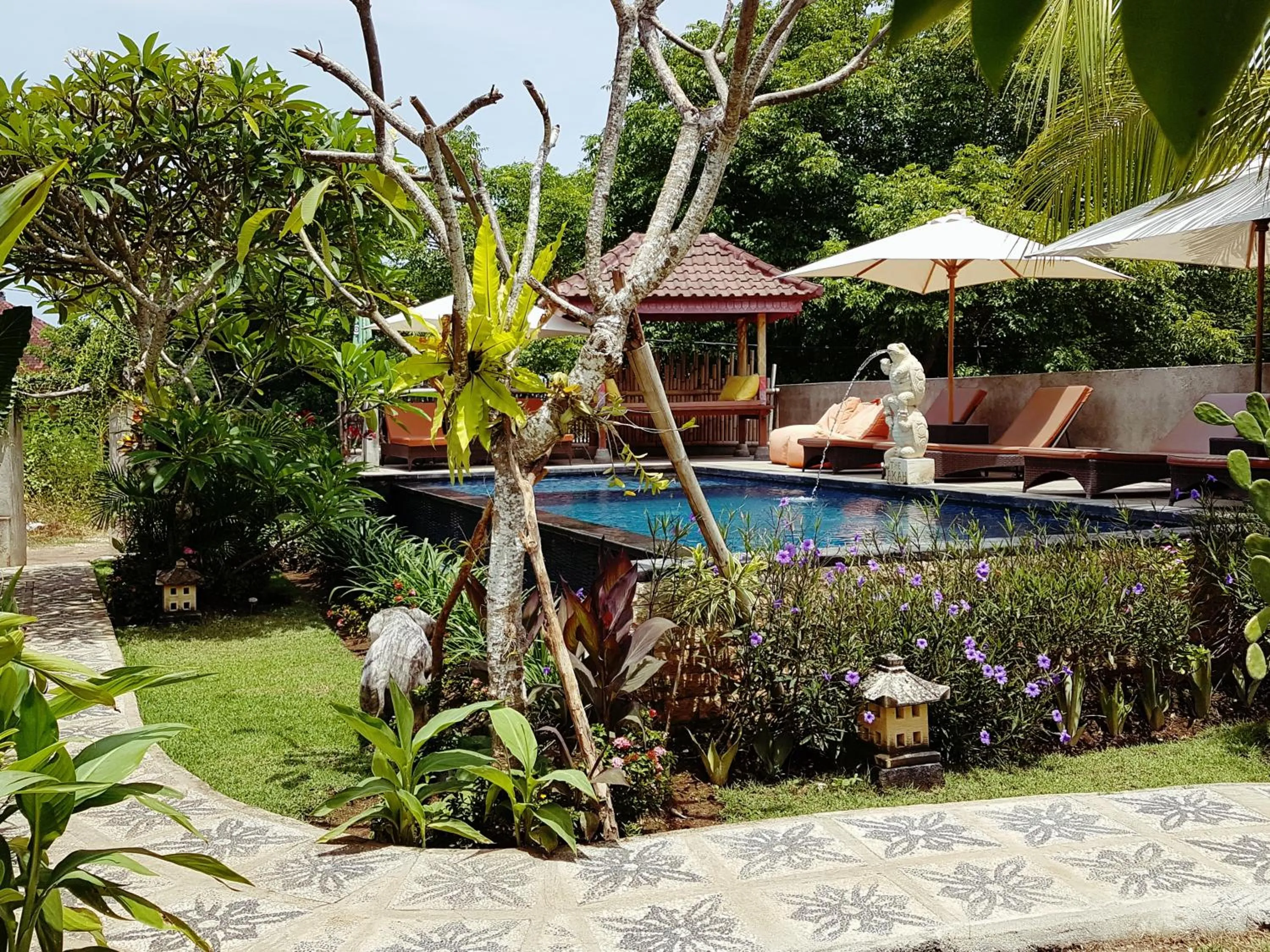 Day in The Akah Cottage