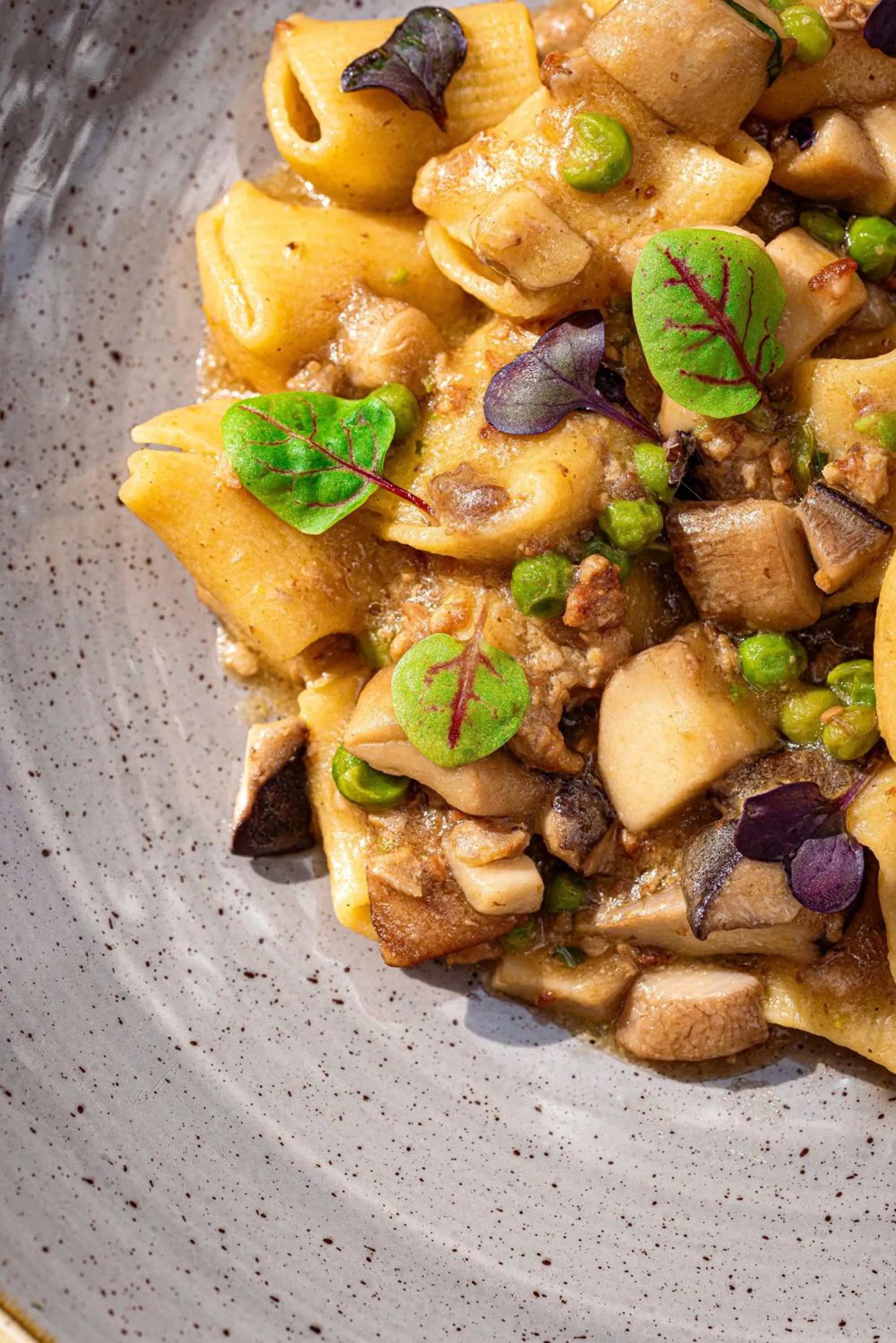 Agriturismo La Cerra