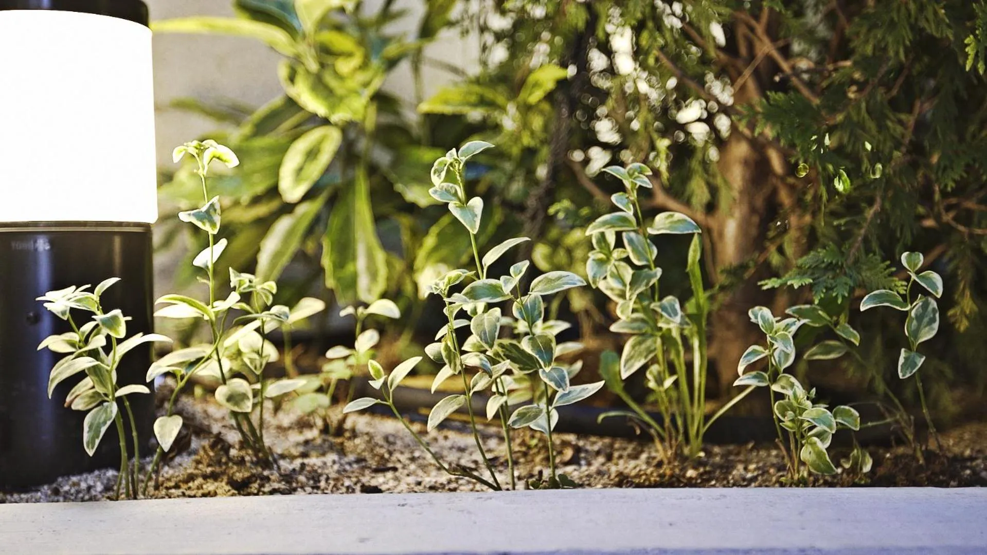 On site in Welina Hotel Premier Nakanoshima EAST