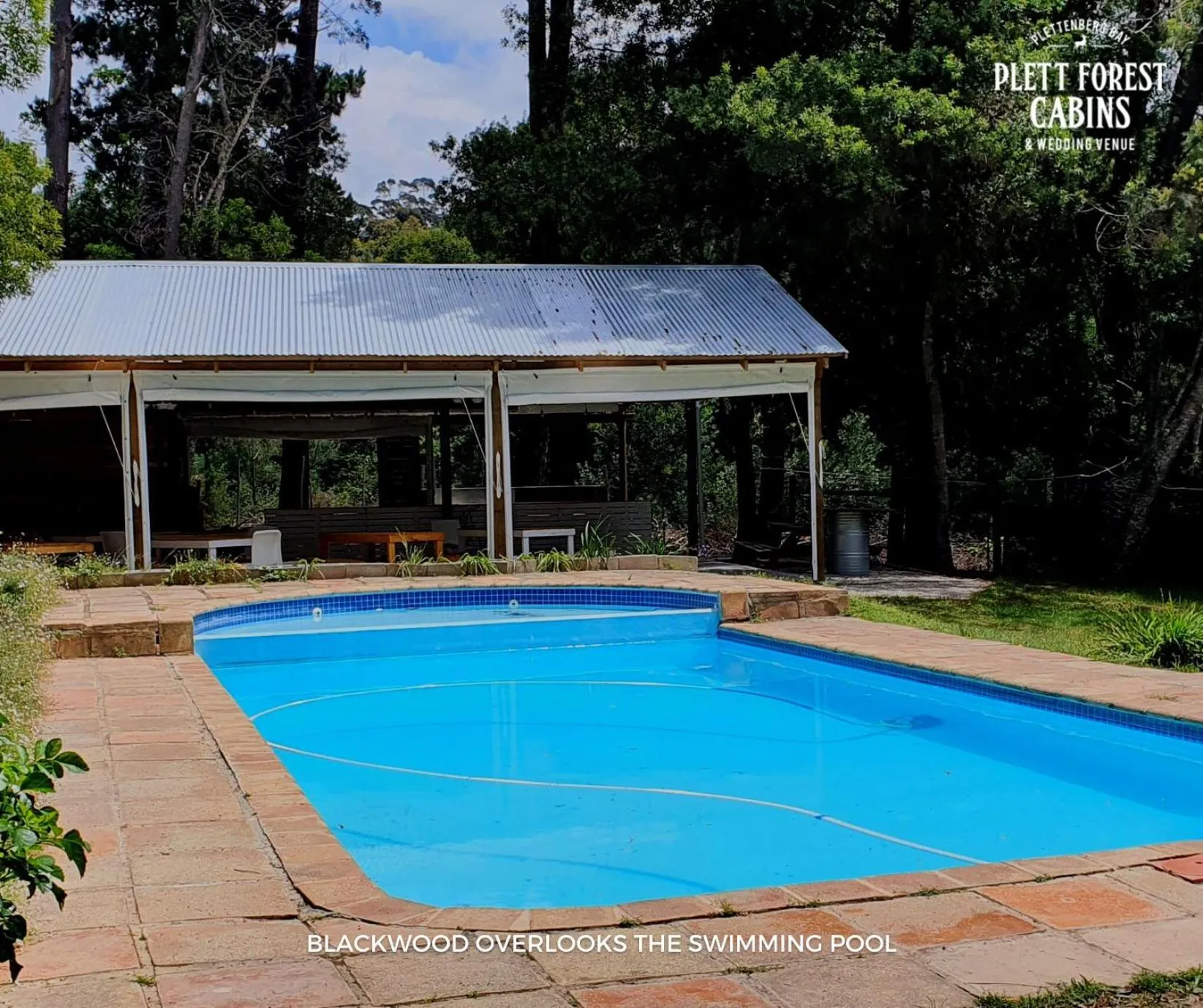 Swimming pool in Plett Forest Cabins