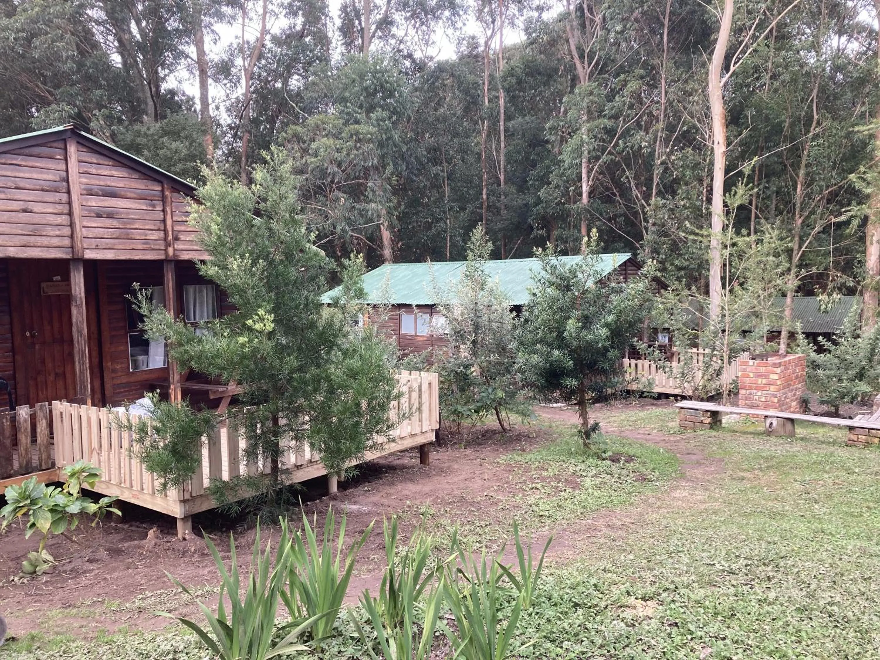 Property building in Plett Forest Cabins