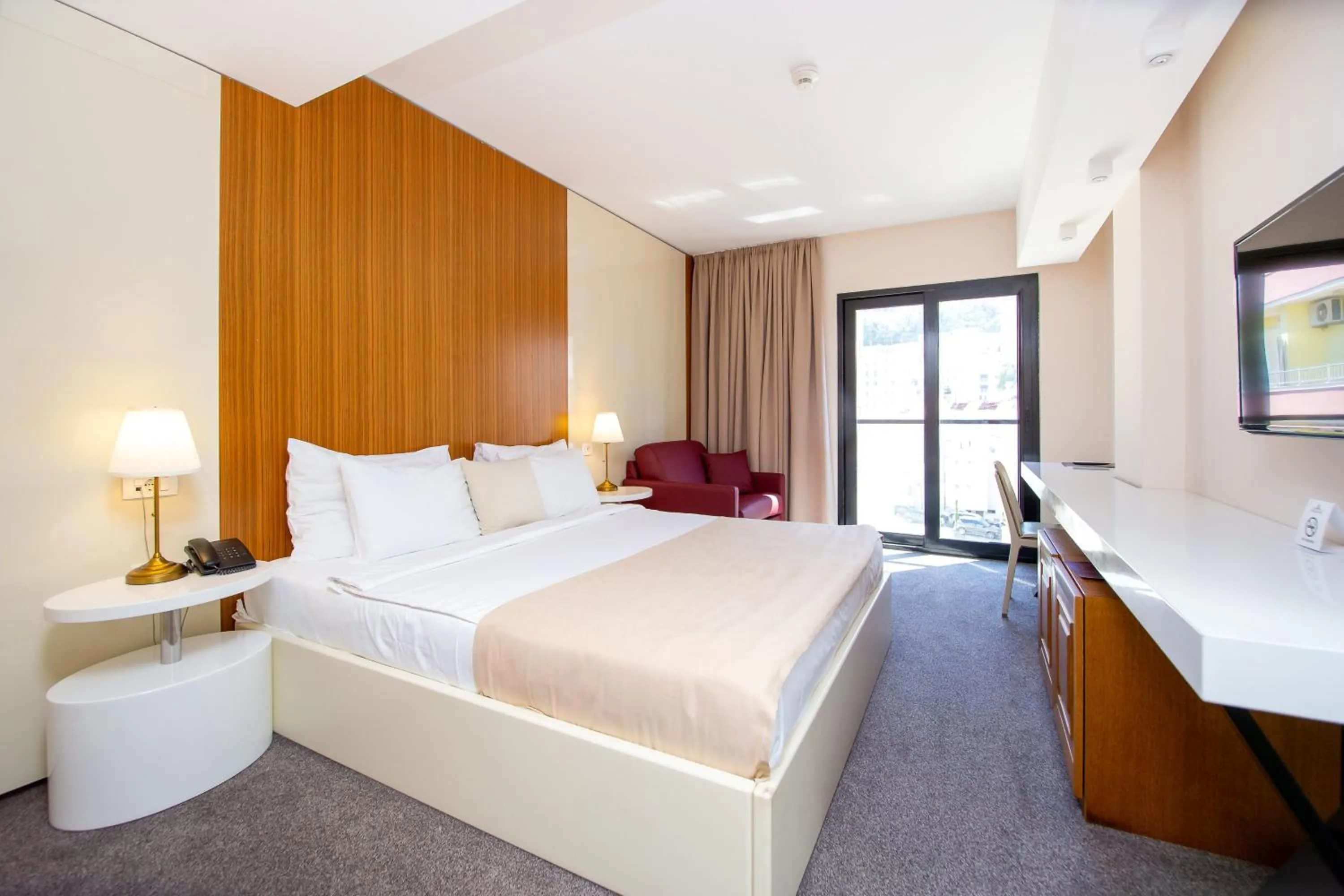 Double Room in Hotel Aleksandar Rafailovići