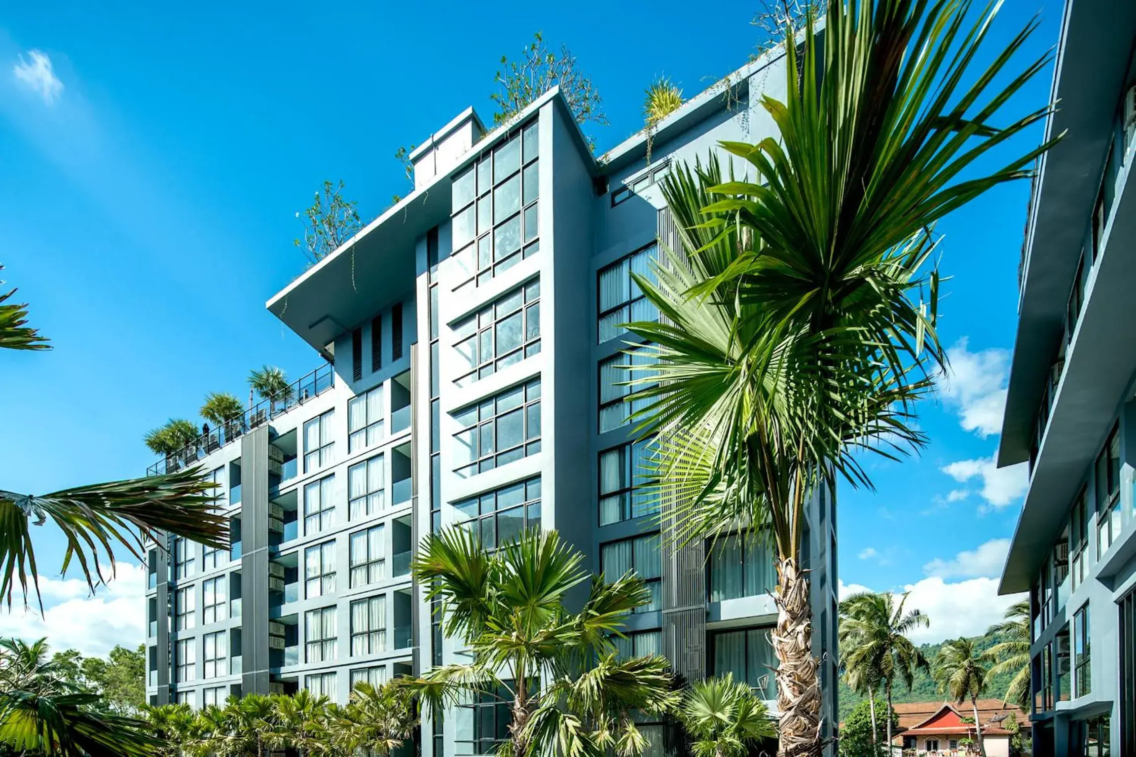 Property building in Citygate Kamala Resort and Residence - Official Account Property building in Citygate Kamala Resort and Residence - Official Account