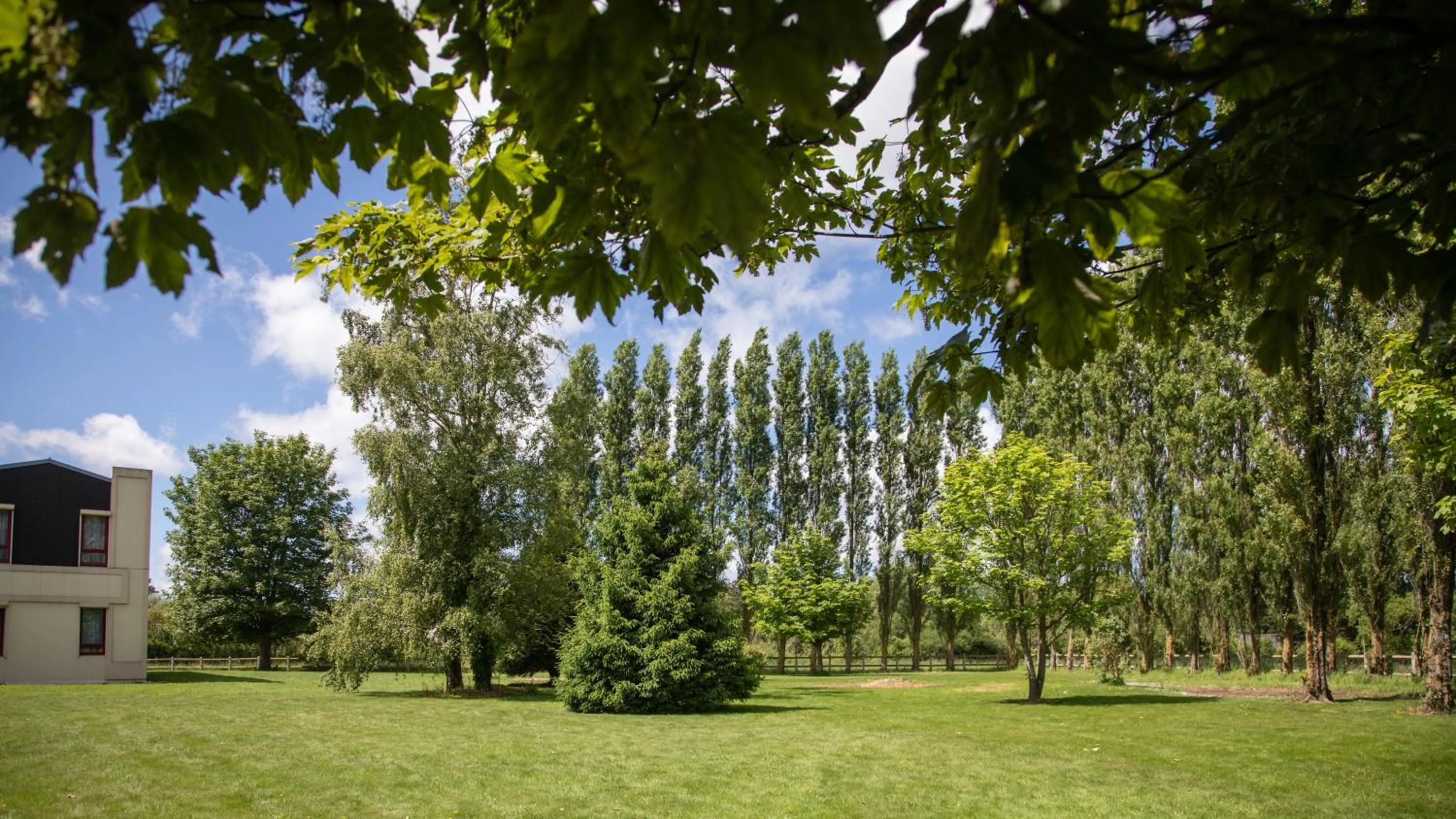 Garden in Logis Hôtel Restaurant Le Sainte Mère