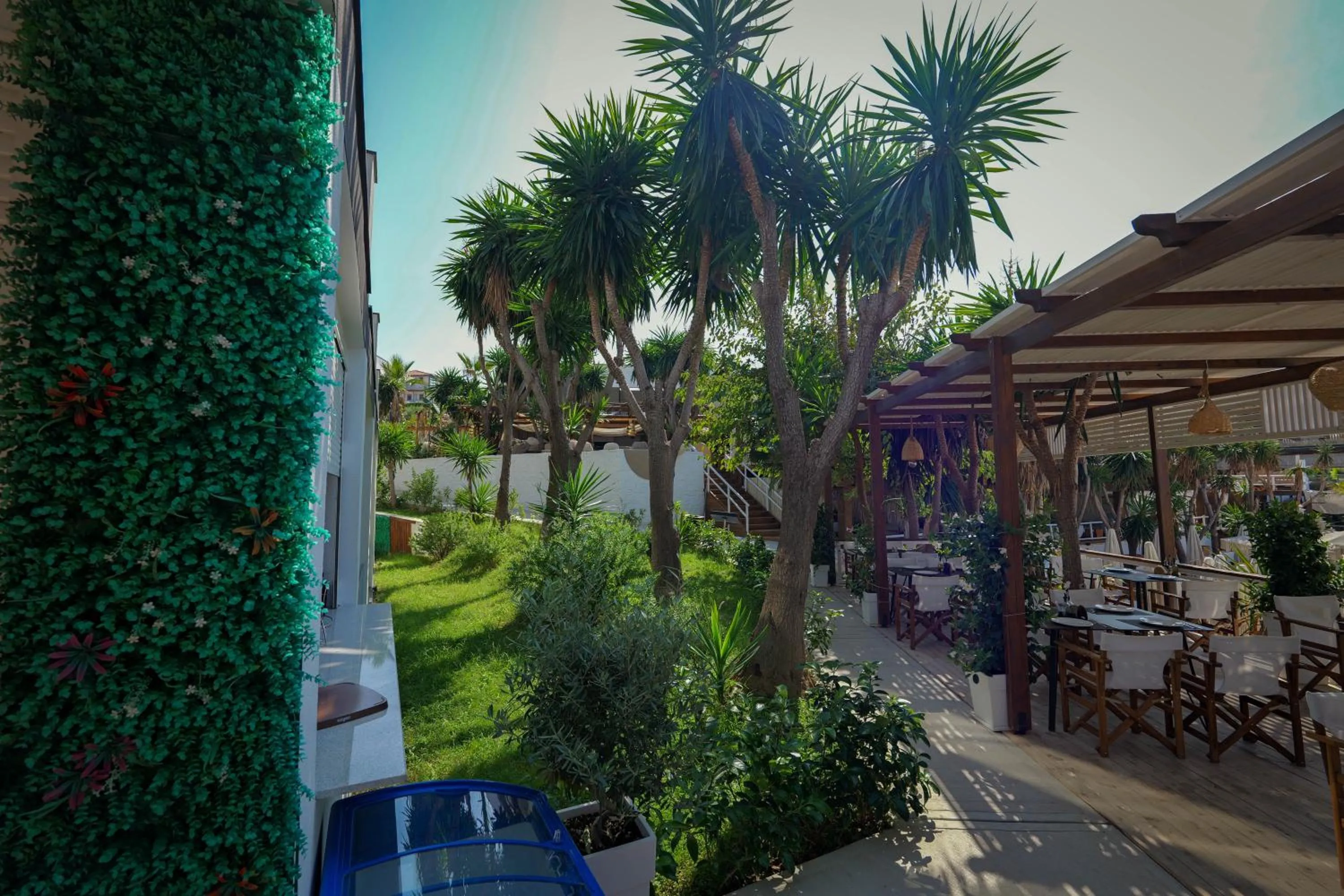 Garden in HOTEL DENOEL